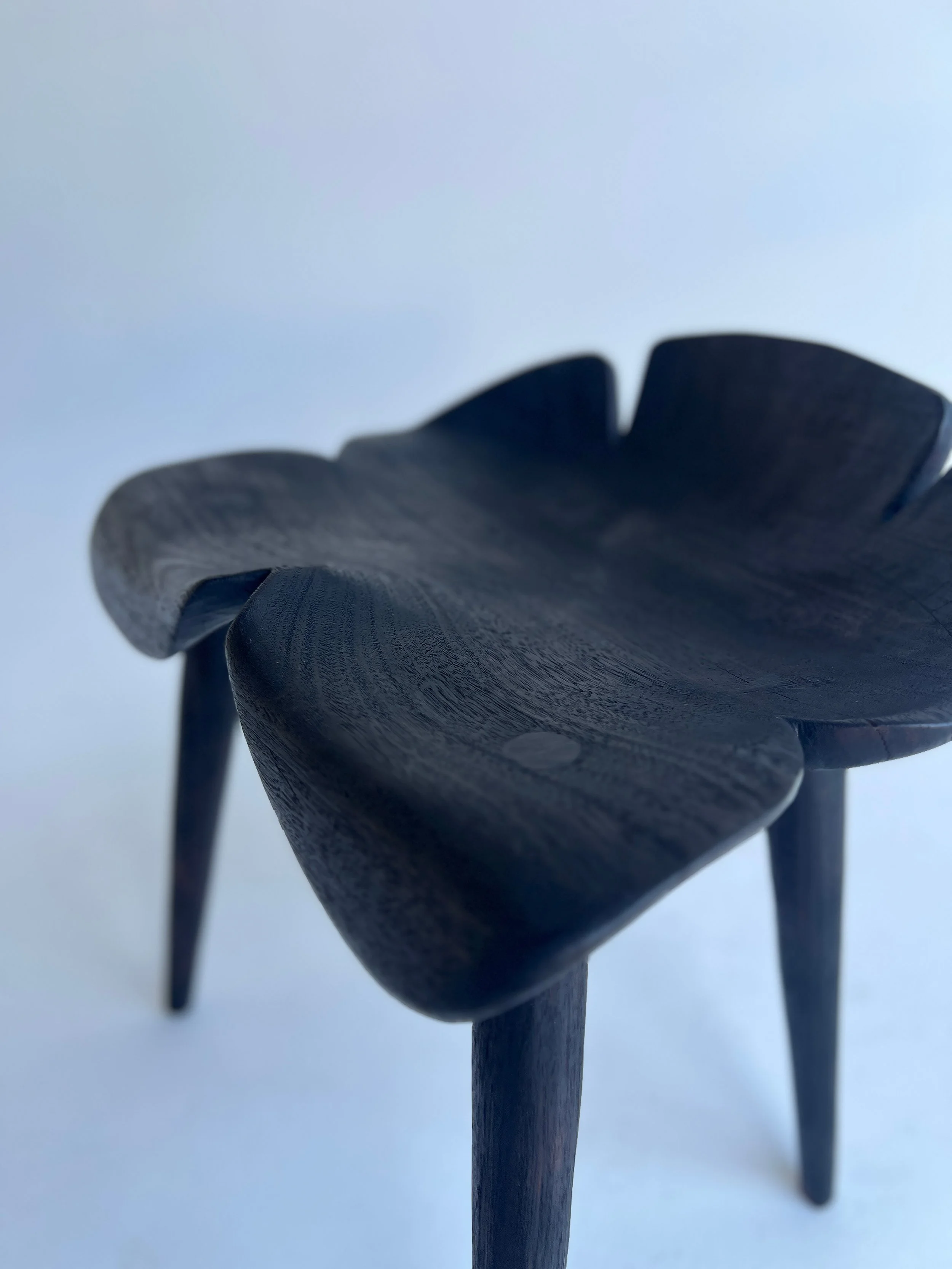 Detail charred flower.jpg
