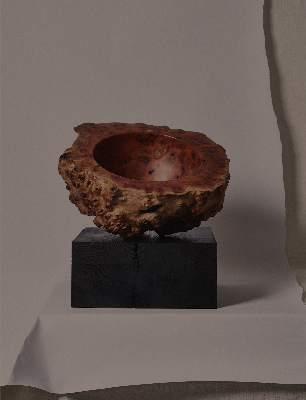 BURL VESSEL by Oko Olo Studio