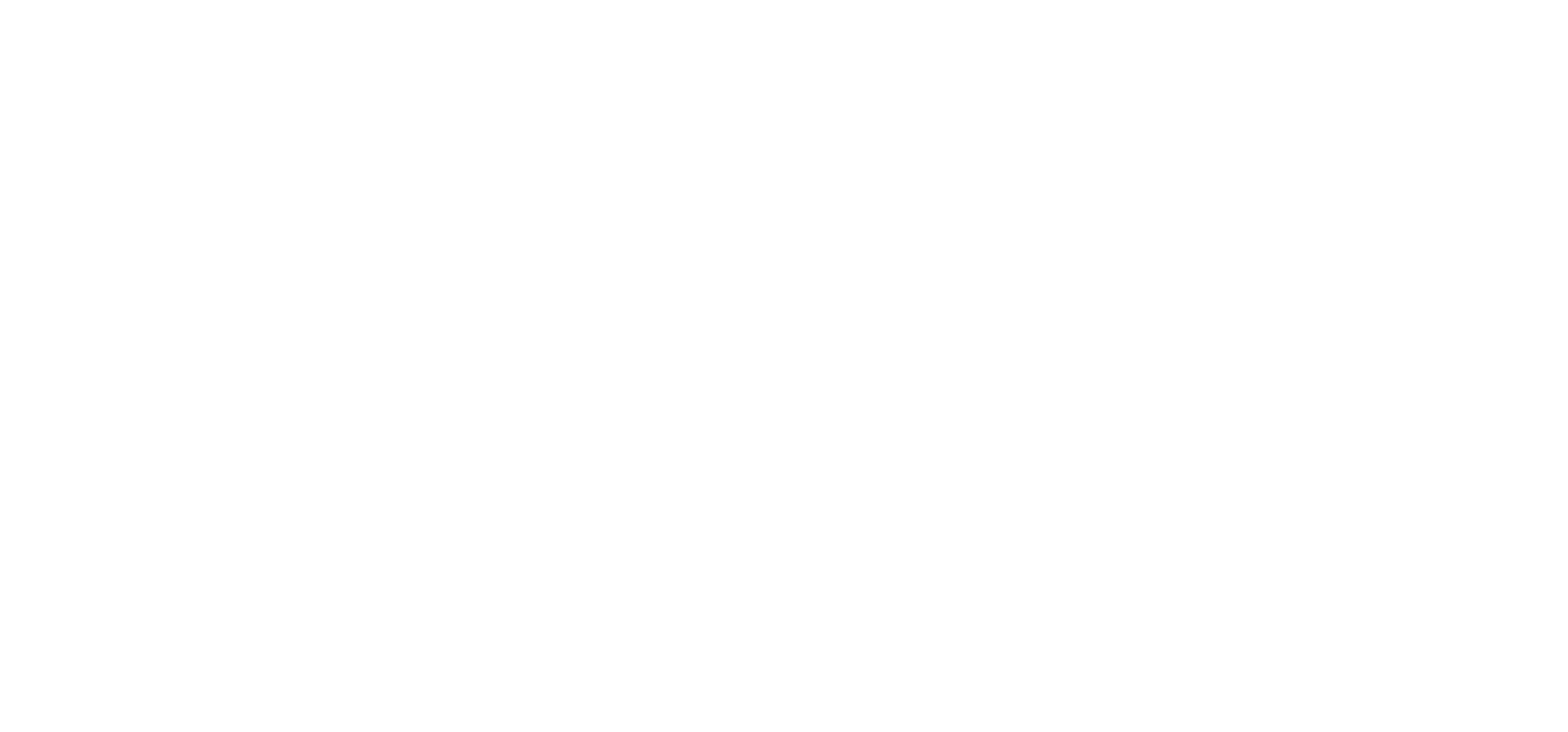 Lauren Ansley