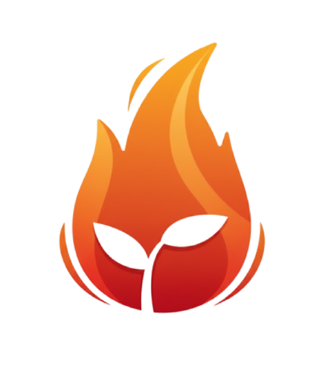 Spark Wellness