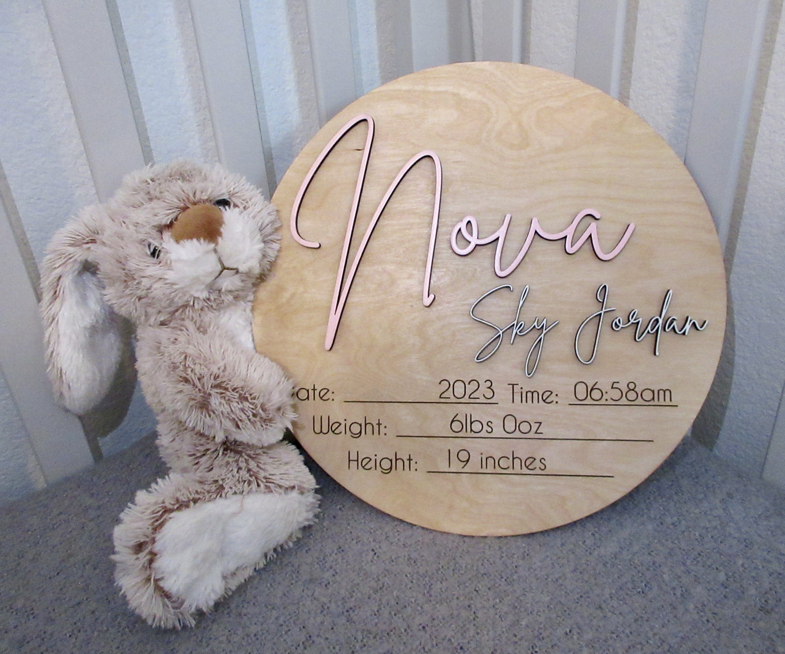 Newborn Plaque