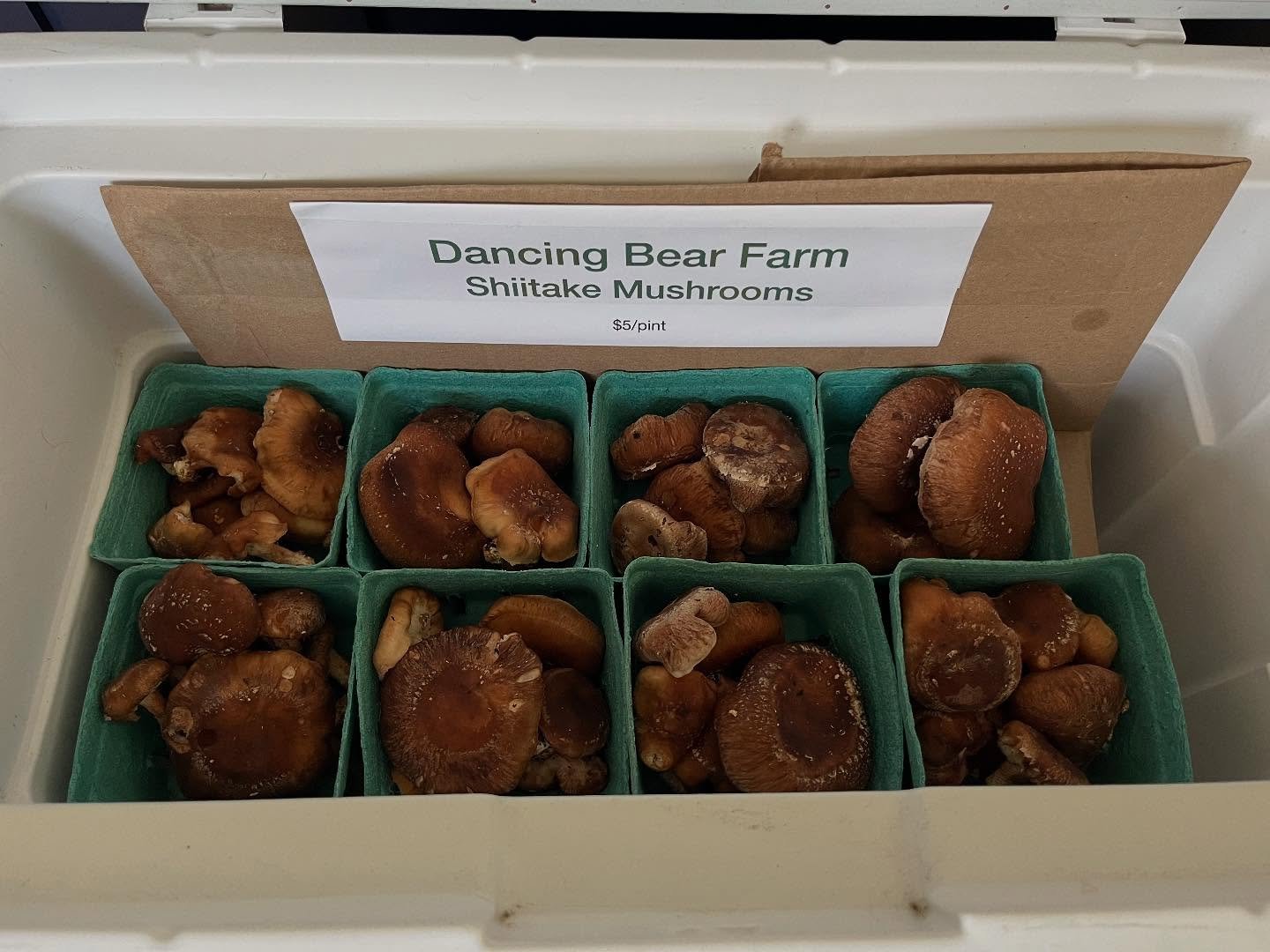 Fresh shiitake mushrooms delivered to the 4 Generations Farm Stand at 172 thrasher road in Claremont! You can also find Dancing Bear Farm handmade pottery and so many other goodies&hellip; every time I stop by there&rsquo;s even more added! @slowcult
