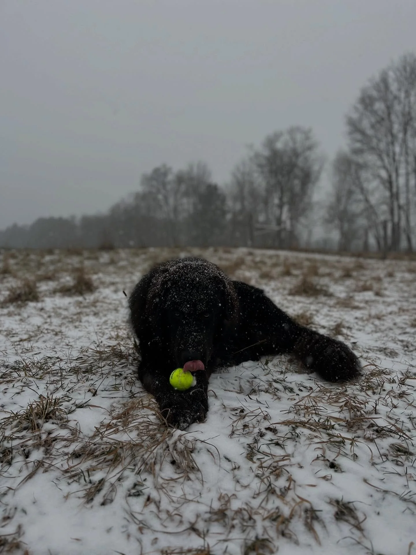 Hope everyone is staying cozy during the snow today!