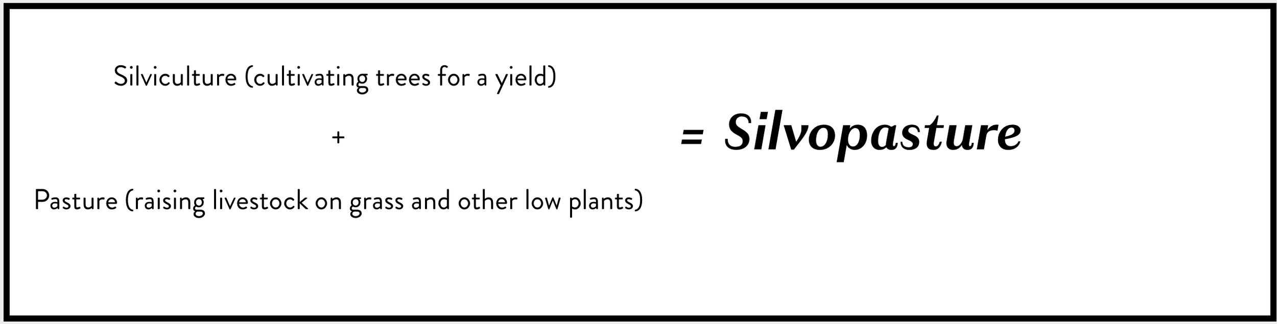 Silvopasture