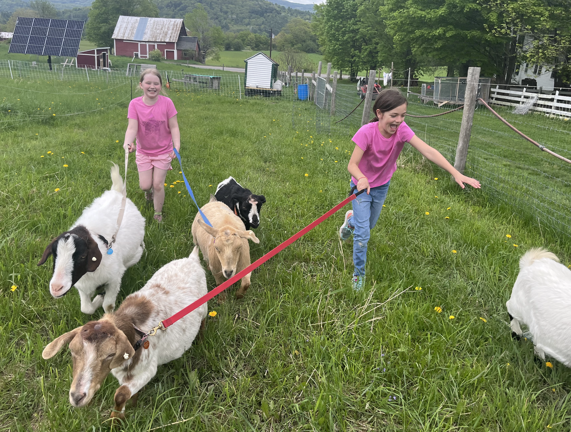 Farm Hands Spring Session 1 Begins