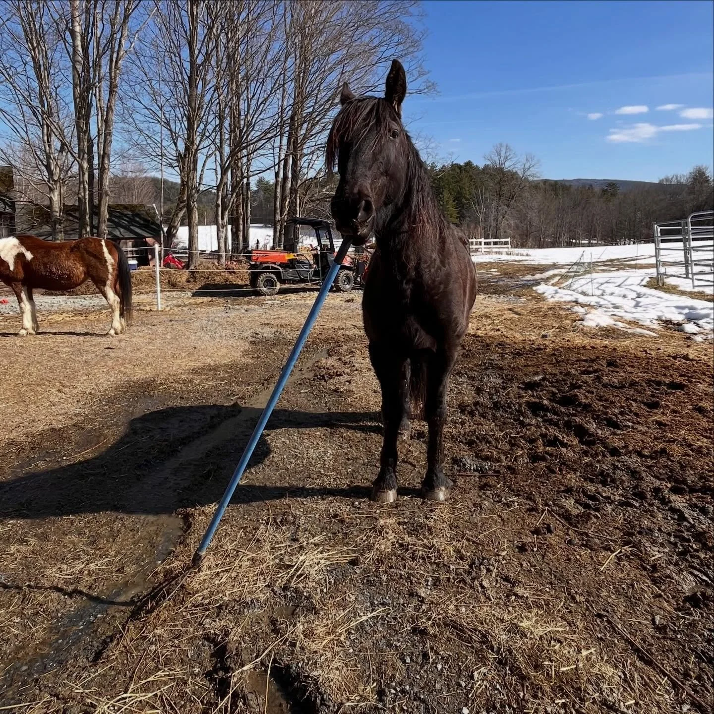 Stinson wants to let you know that we have free horse manure! It&rsquo;s a perfect time to apply manure to your gardens to prepare for spring. Bring your own buckets or containers and come get it before we move the pile! Send us a message for more in