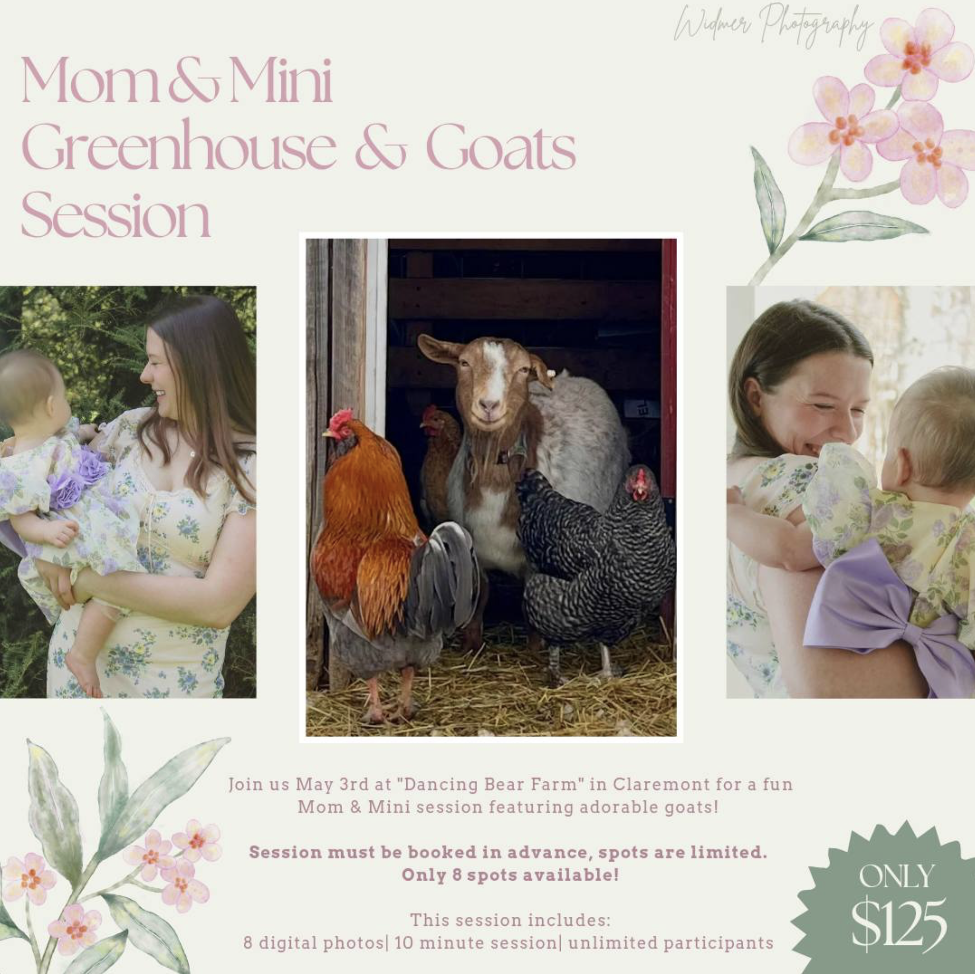 𝙼𝚘𝚖 & 𝙼𝚒𝚗𝚒, 𝙶𝚛𝚎𝚎𝚗𝚑𝚘𝚞𝚜𝚎 & 𝙶𝚘𝚊𝚝𝚜 𝚂𝚎𝚜𝚜𝚒𝚘𝚗