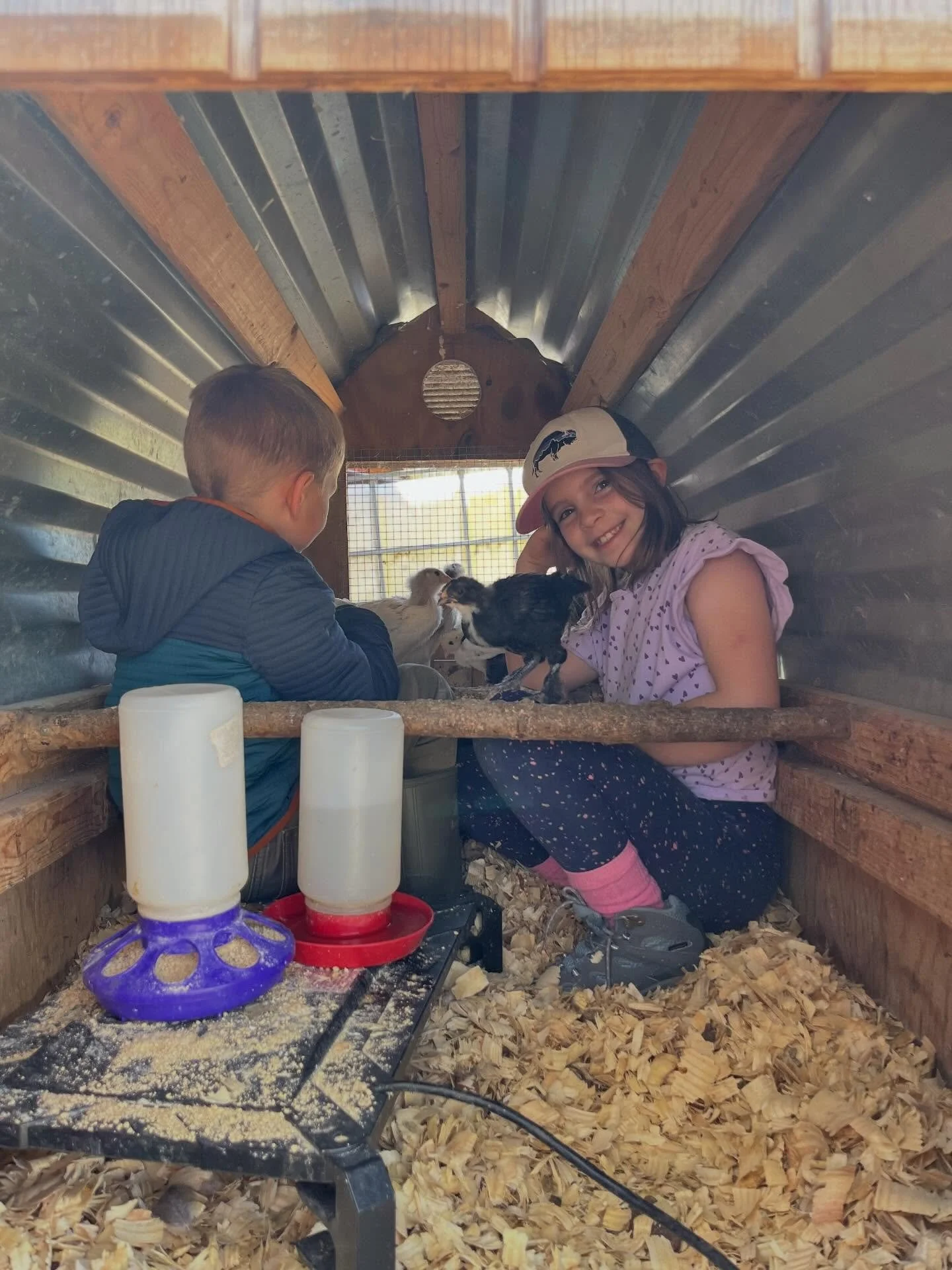 What a fantastic first day of Spring Vacation camp! We had perfect weather for a goat hike, chick hangouts, Magni grooming, and more!