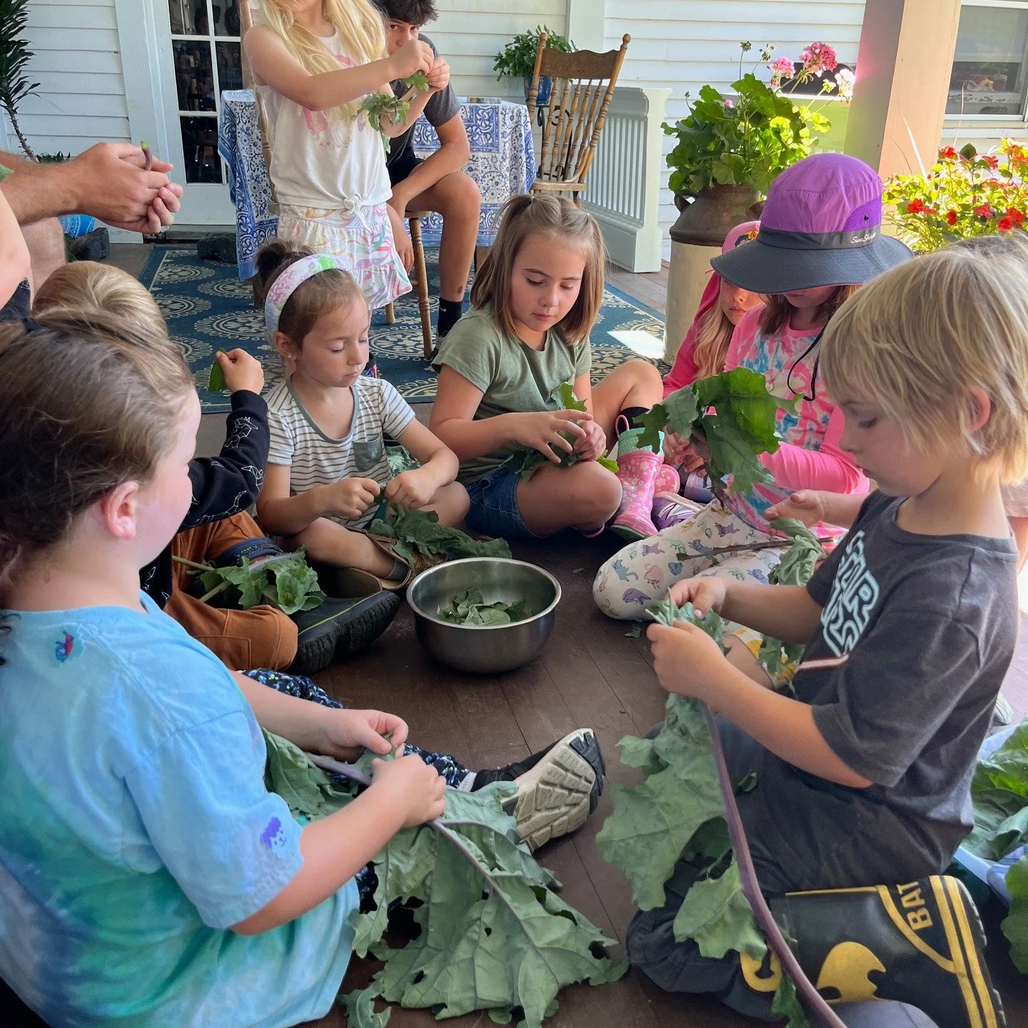 We're excited to announce our summer Farm To Table Nutrition Series for kids ages 5-12! Led by Emily McNamara of @buddingnourishment, local functional nutrition therapist and whole food advocate. Select Saturdays July - September. Find the series dat