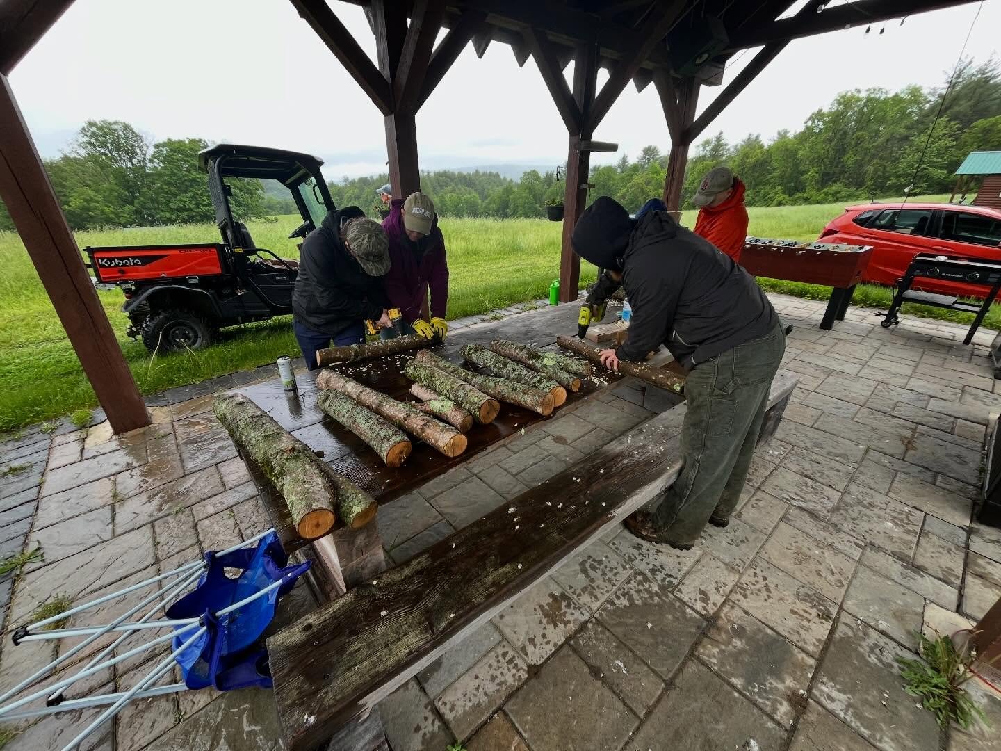 Thank you to everyone who braved the rain for our spring work weekend! We inoculated mushroom logs, planted and weeded in the fodder bank and silvopasture, and spruced up the garden. We are so grateful for everyone&rsquo;s help making the weekend a s