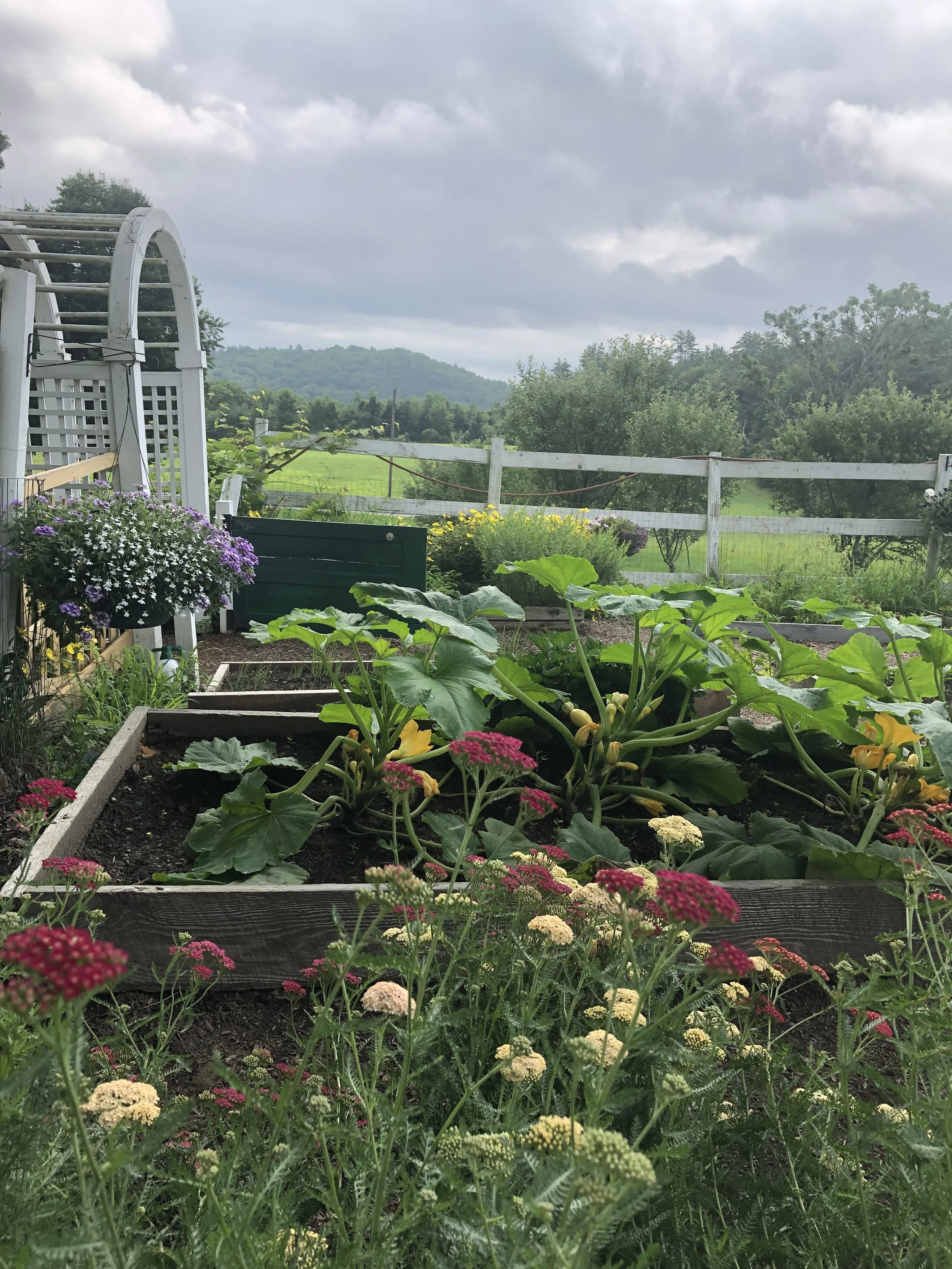 a. veggie garden.jpg