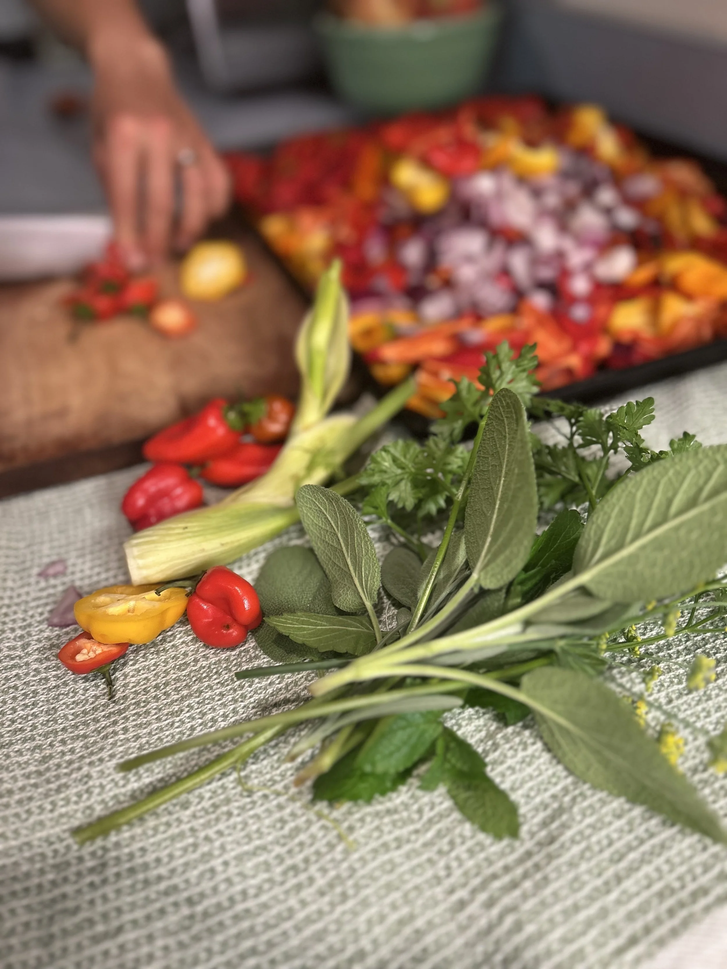 OUR DIGESTION & HERBS