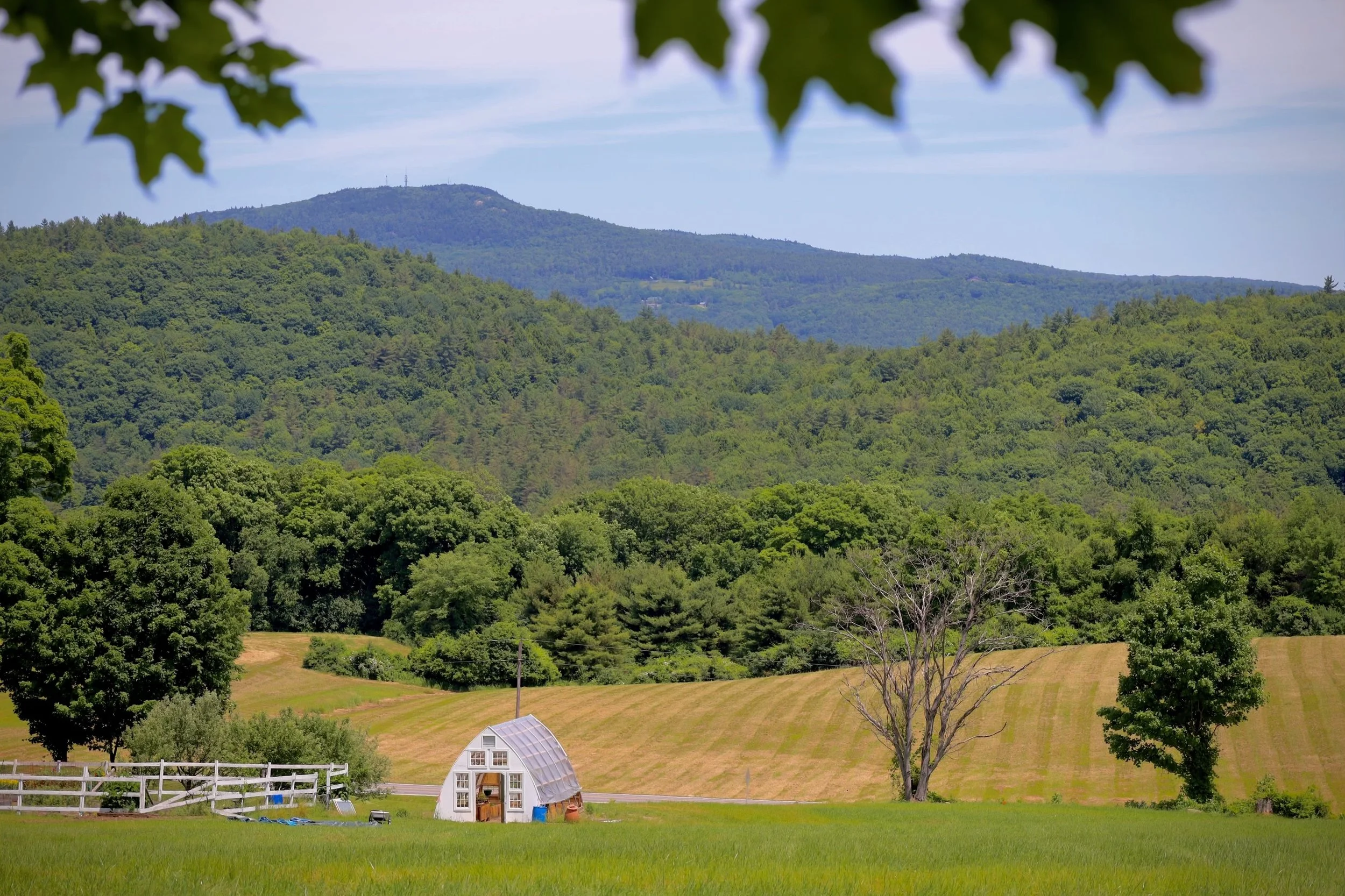 Dancing Bear Farm - Gift Certificate