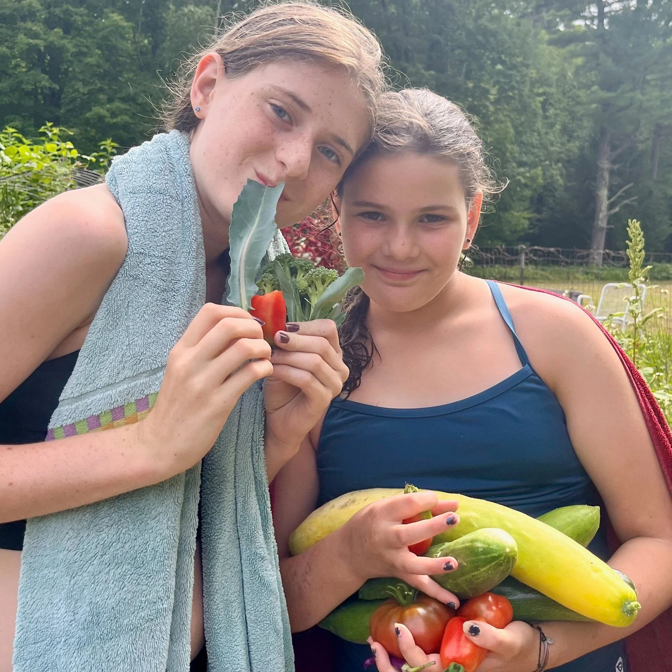 CUCUMBERS, SQUASH, ZUCCHINI & MORE!