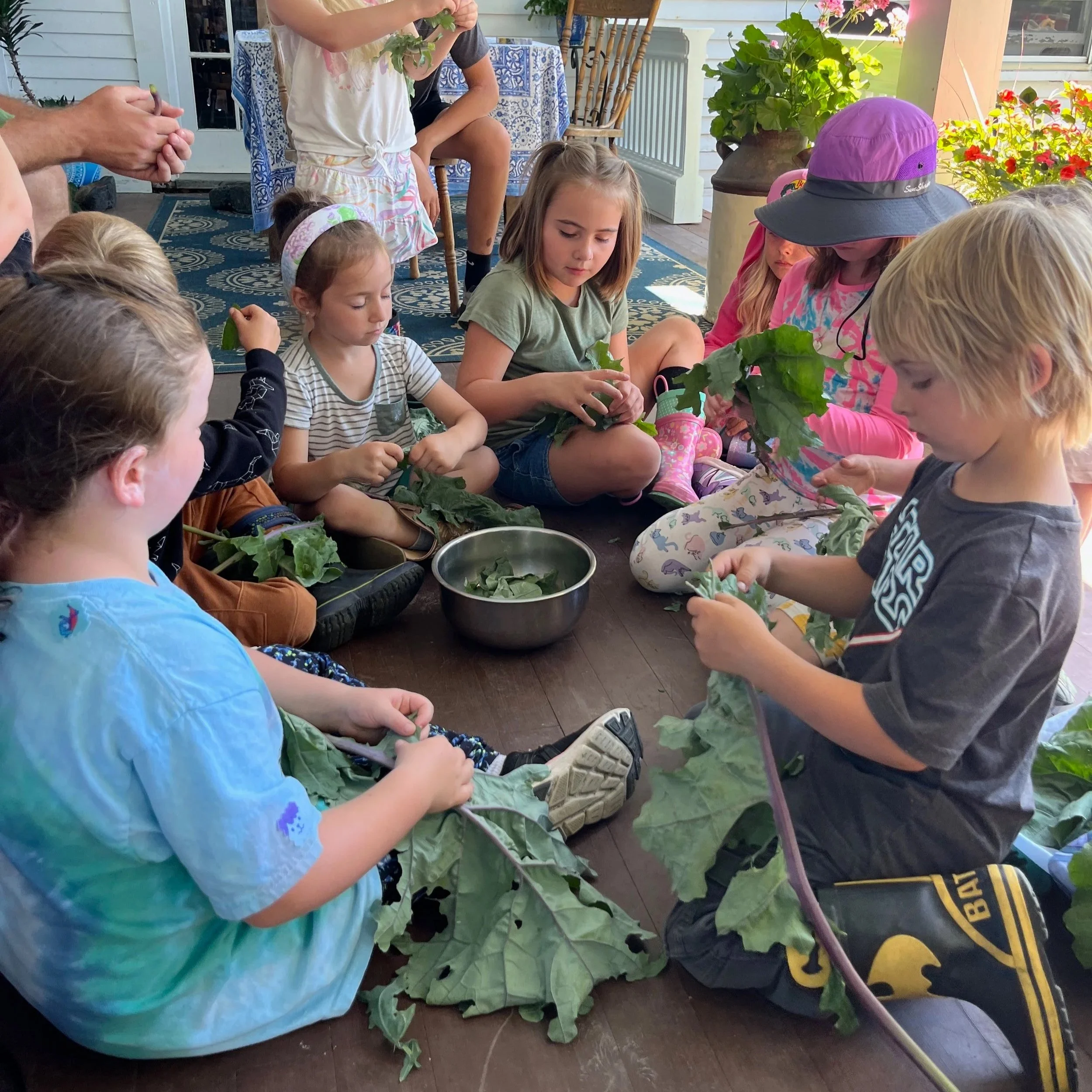 Farm To Table Nutrition - Full Series