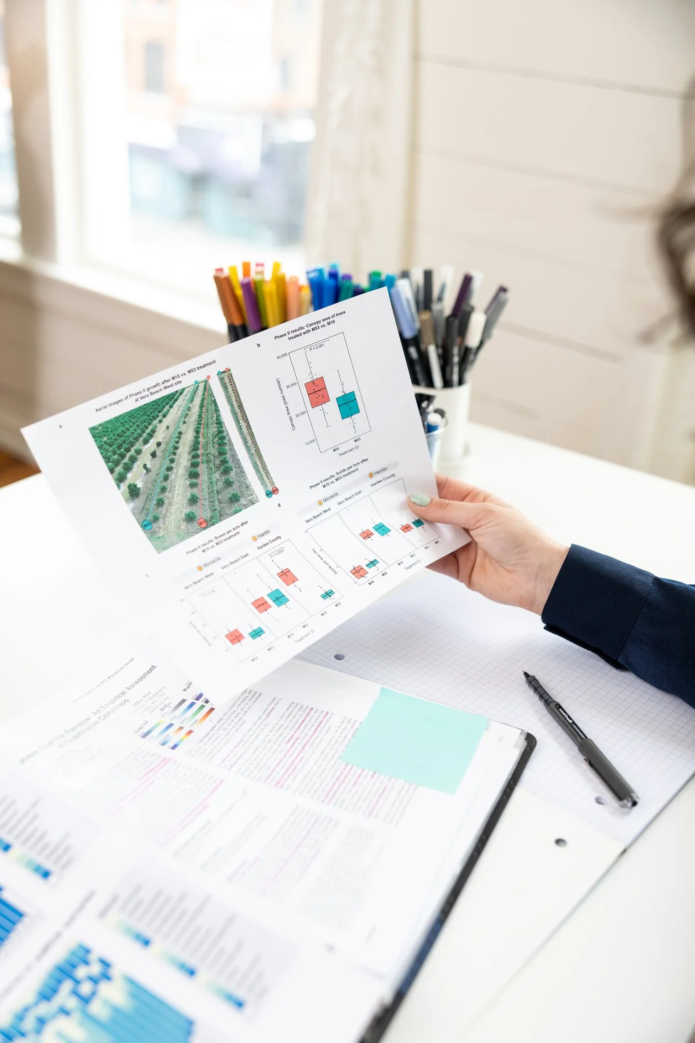 Visual & Data Design — Felice Information Design