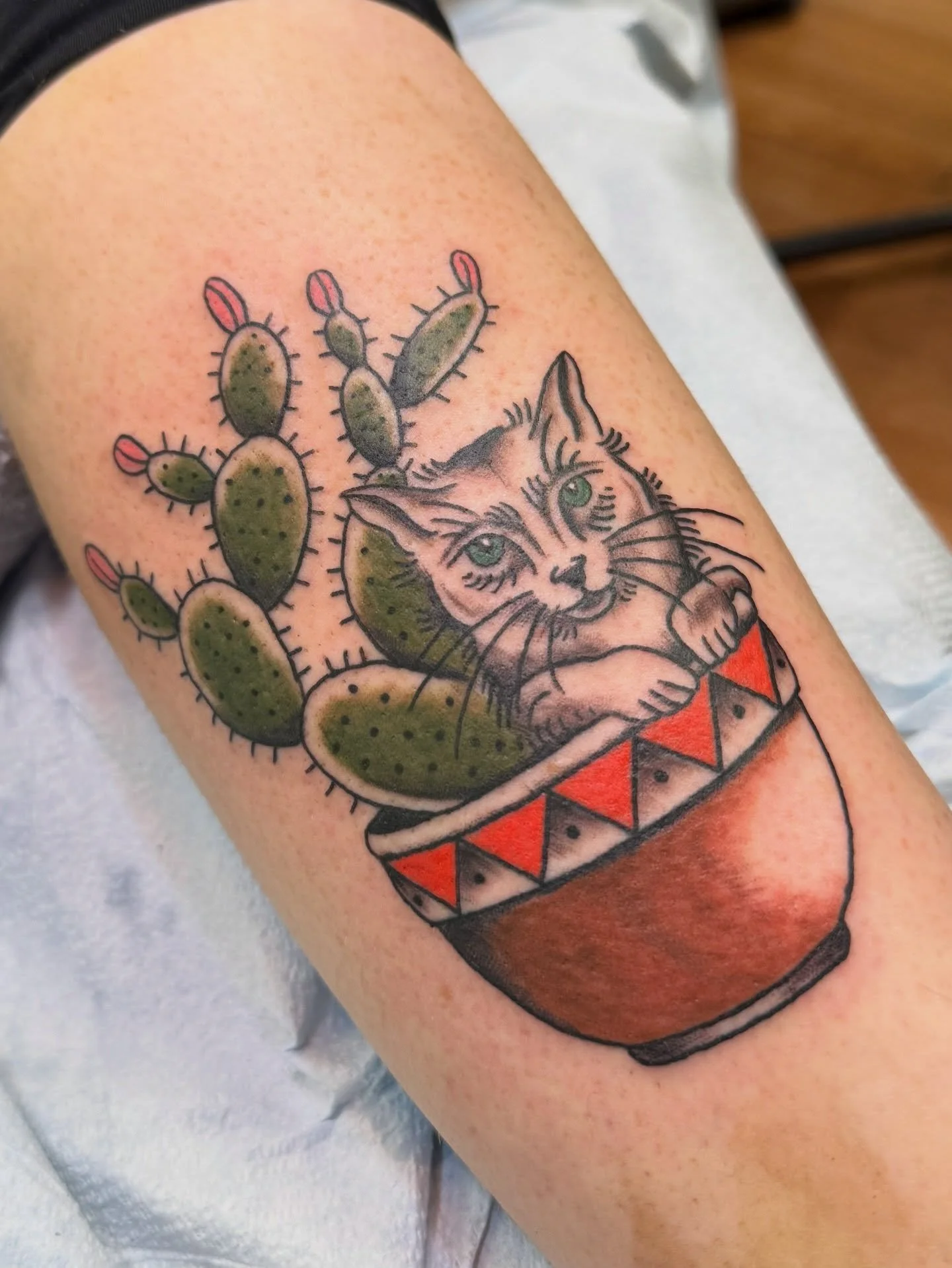 Lil walk-in from last week.