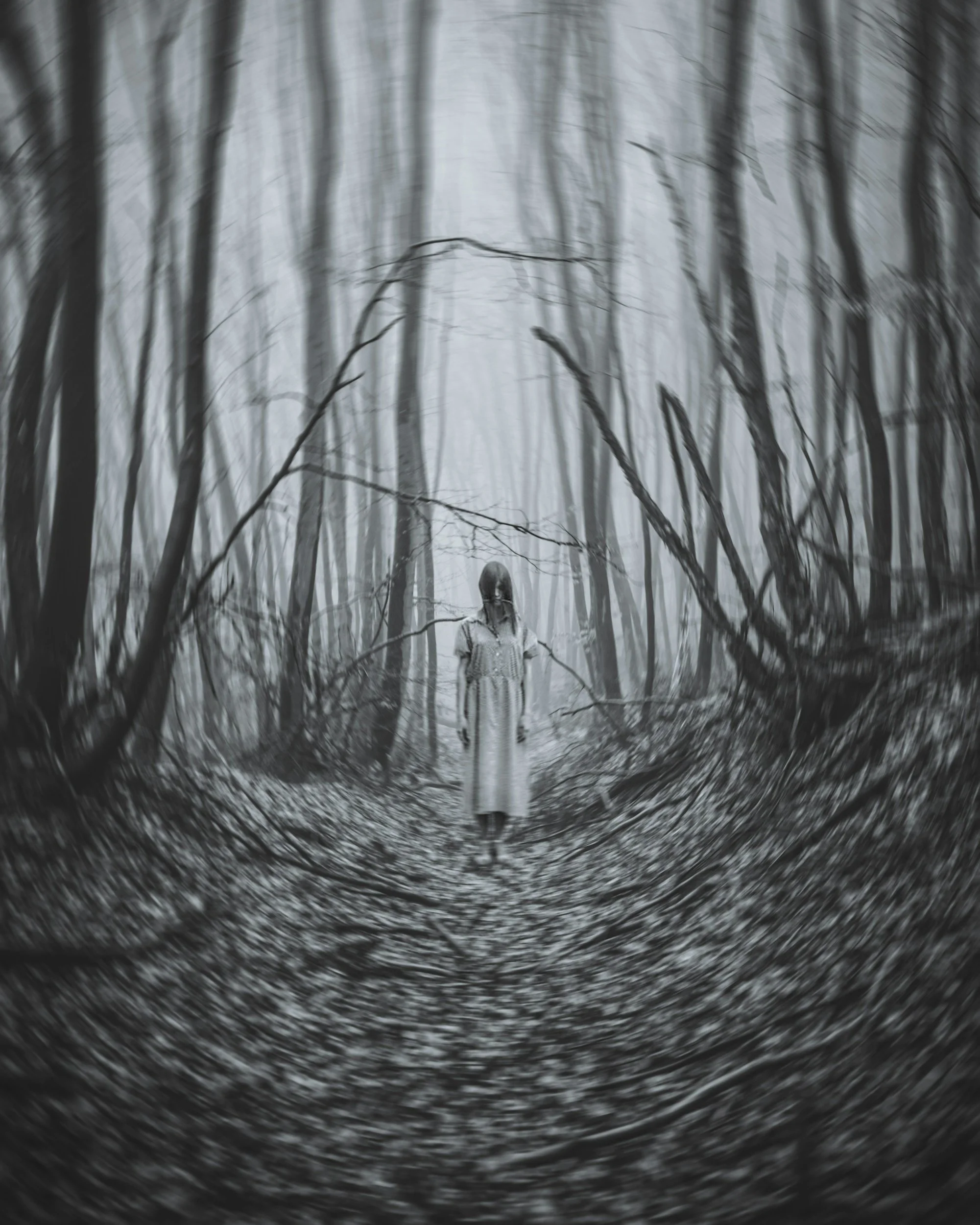 A foggy, monochrome forest with leafless trees and a person standing in the center, wearing a long coat and hat, with a forest backdrop.