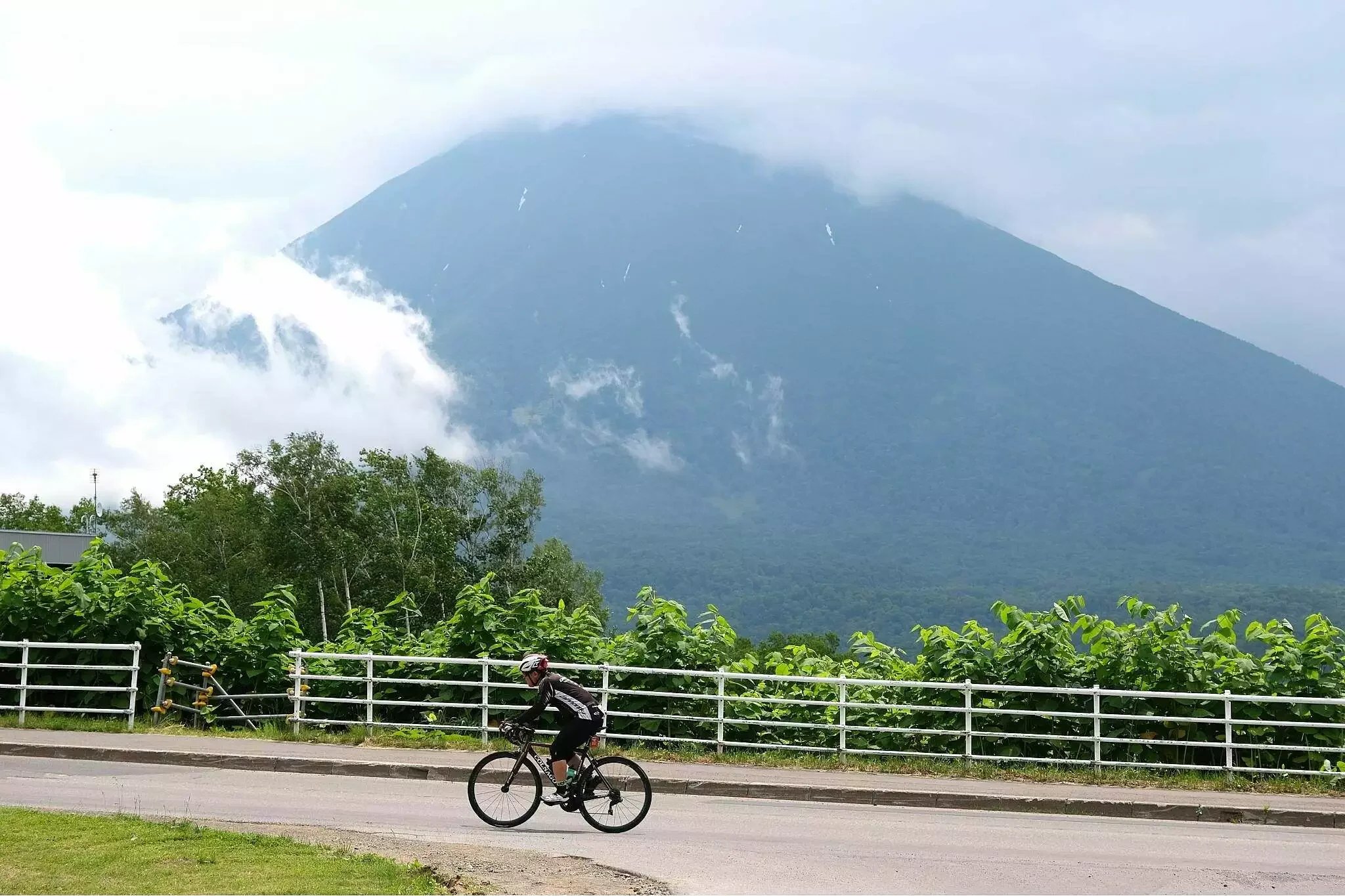 Cycling in Niseko during Summer
