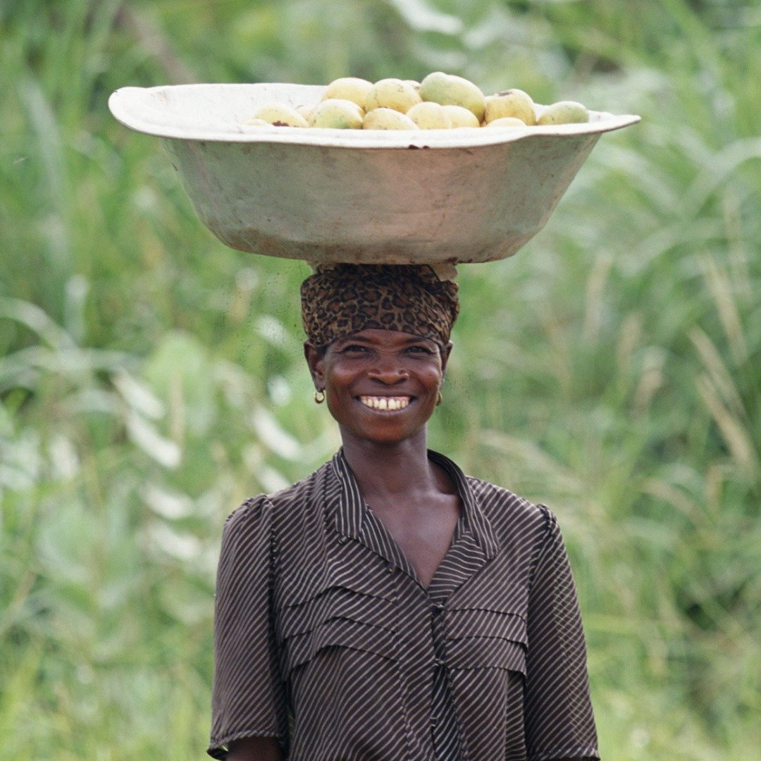 Untitled design - 2025-03-11T142707.858.png