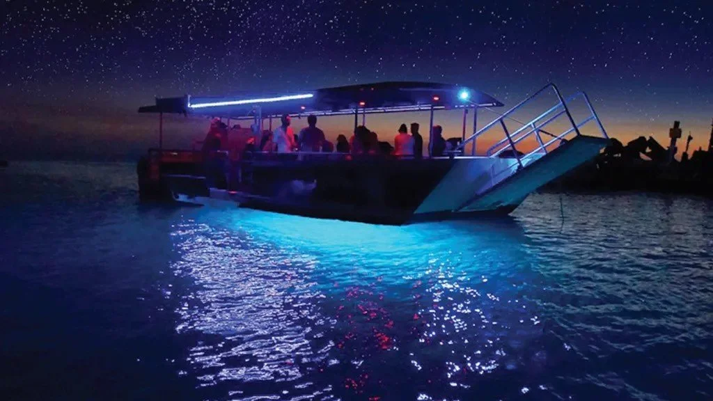 cruise-the-night- (1).jpg