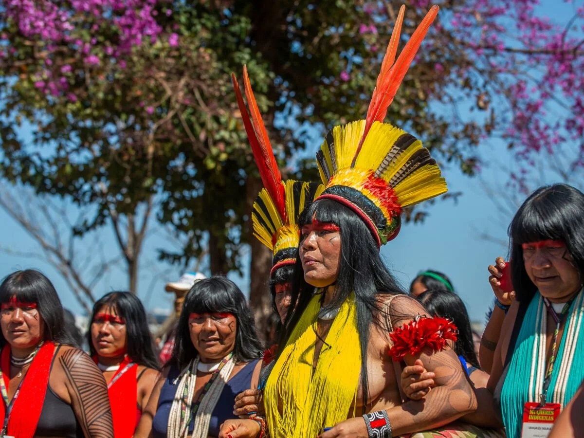 Building From Within: How Strengthening Indigenous Governance Protects the Amazon's Future