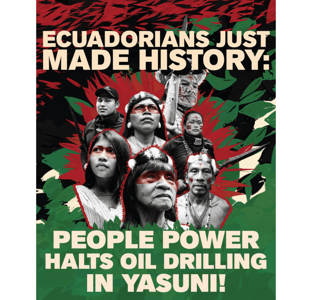 The People Voted — and the Amazon Won: Ecuador's Historic Yasuní Decision