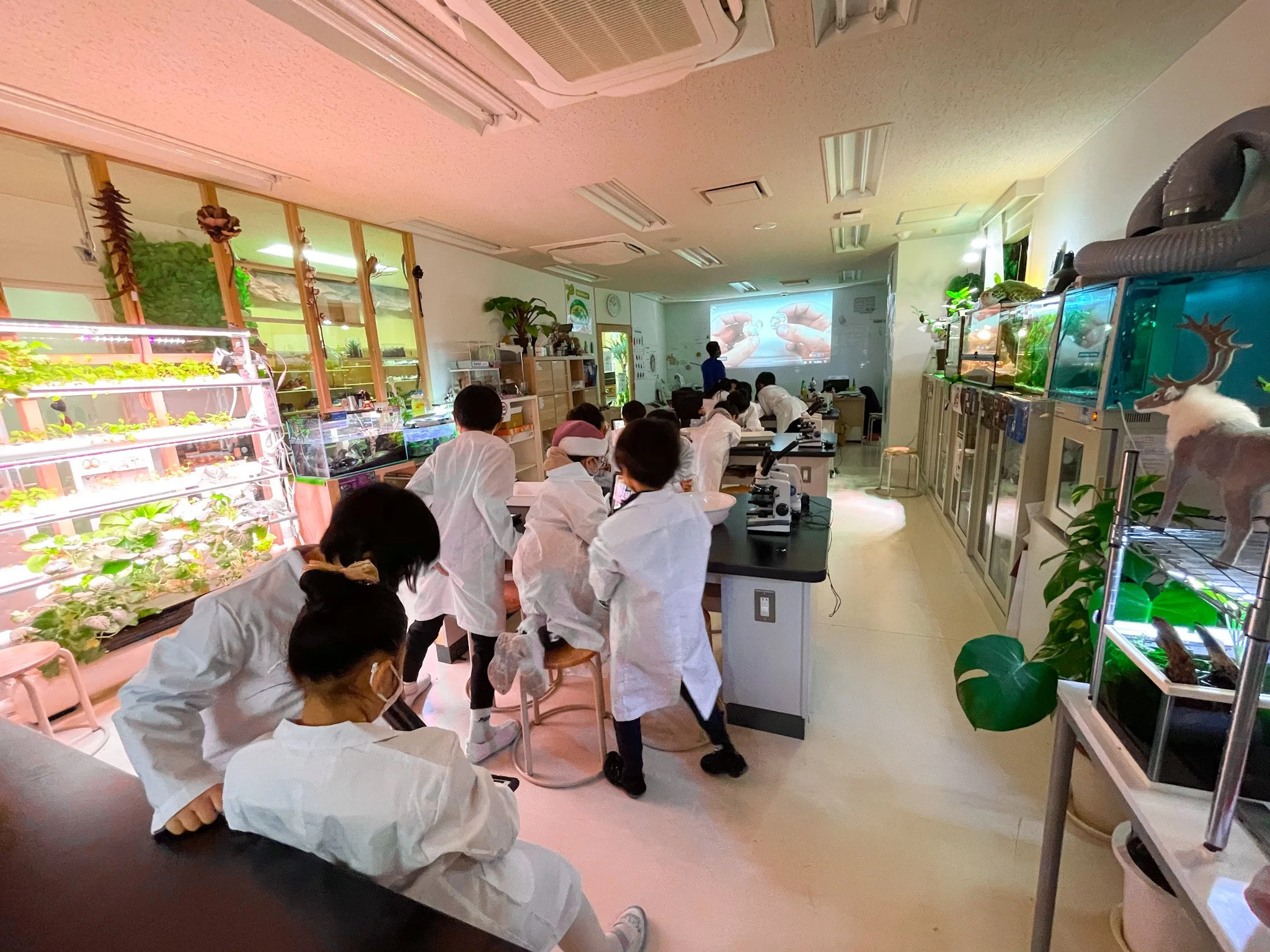 キャンパスライフ