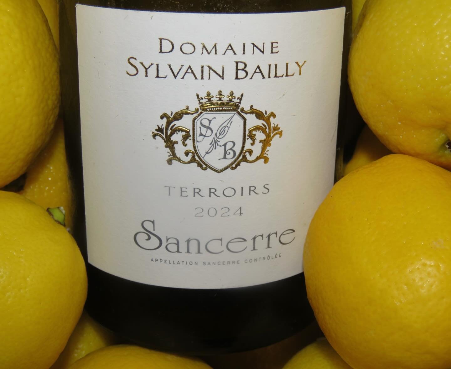 As this vineyard has been passed down through generations since the 1700s, it carries a deep sense of history and resilience. After the devastation of the World Wars and phylloxera, much of their land was lost&mdash;but in the 1950s, Sylvain Bailly b