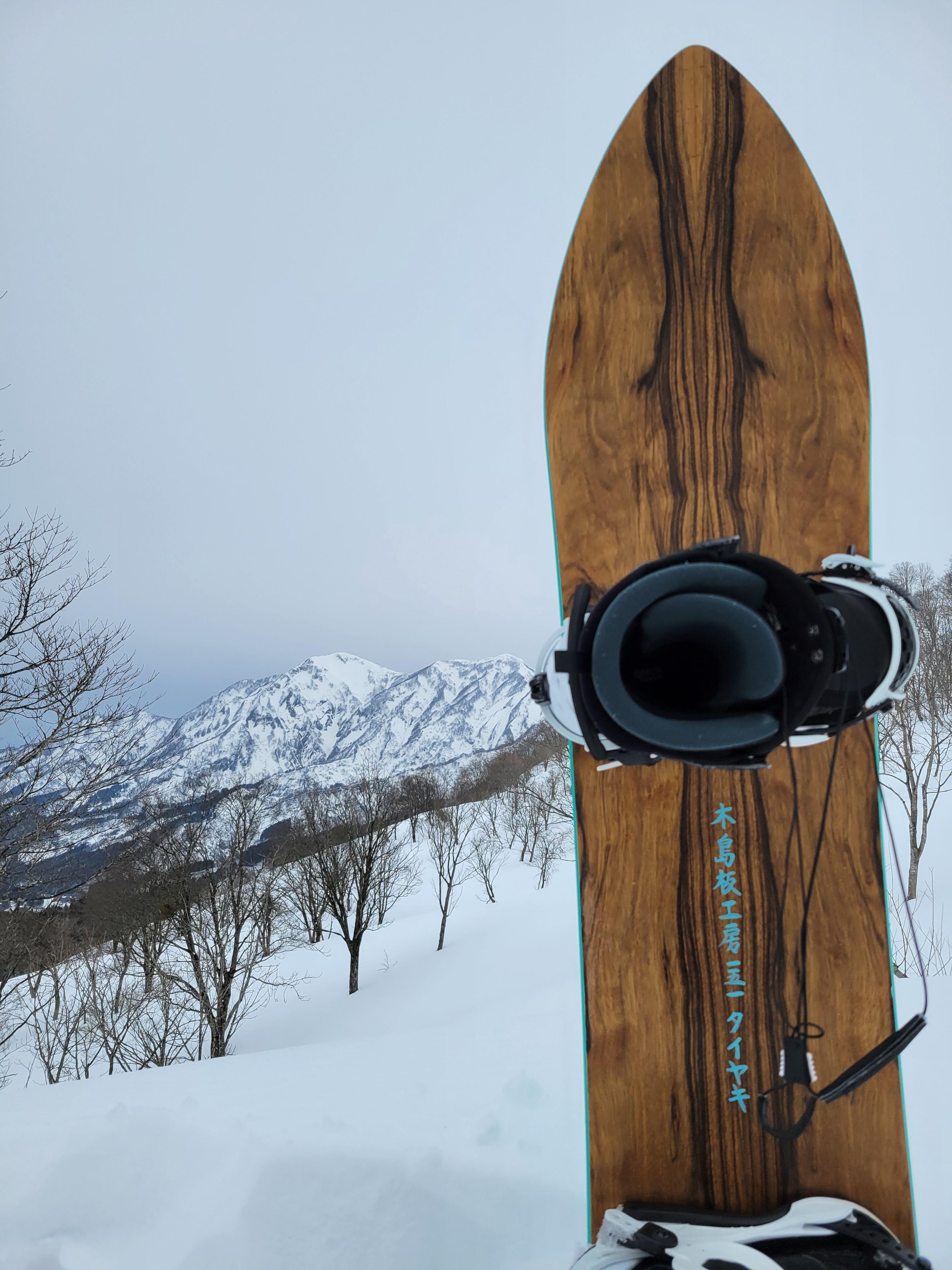 A picture of my snowboard with the mountains behind it