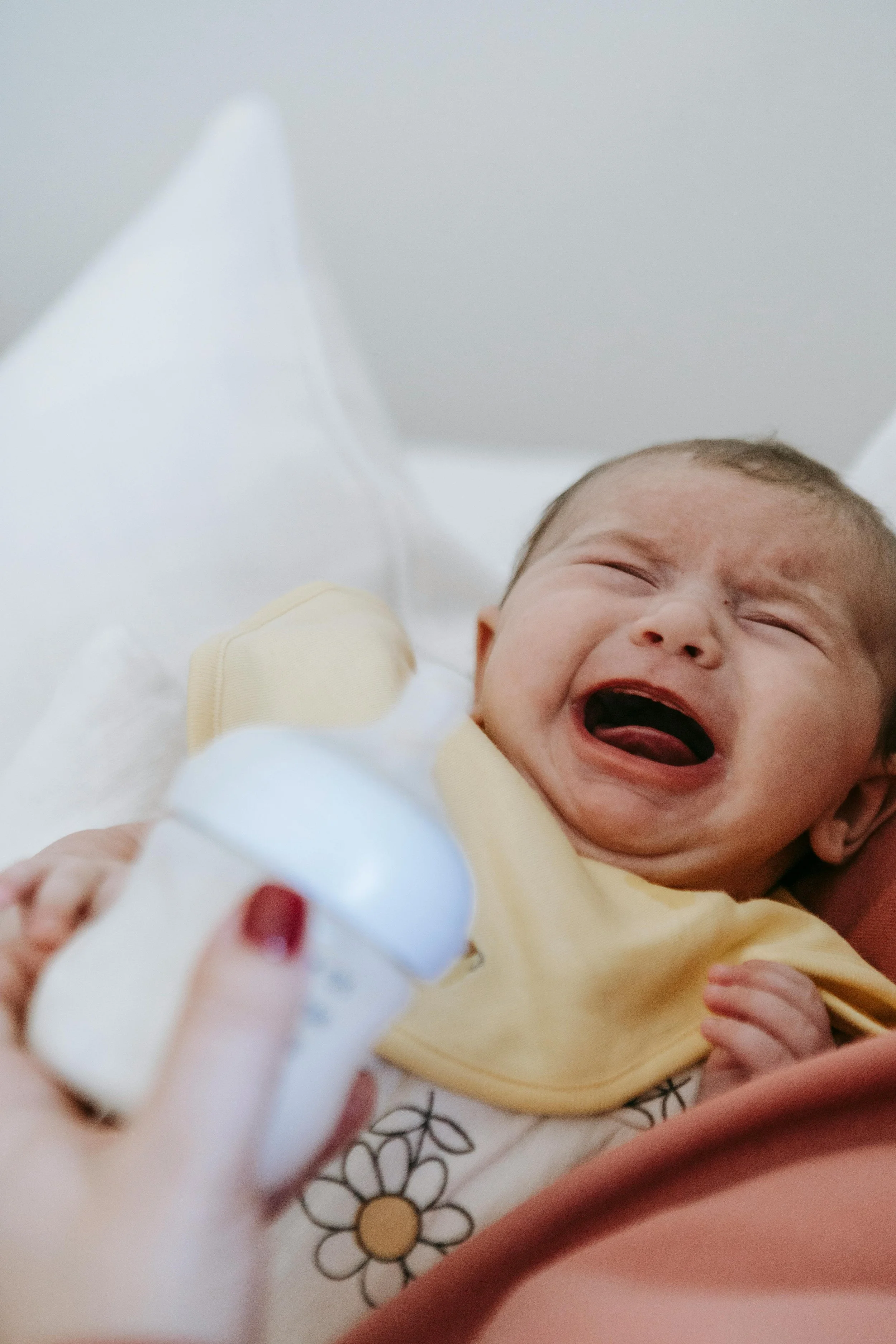 fussy_feeding.jpg