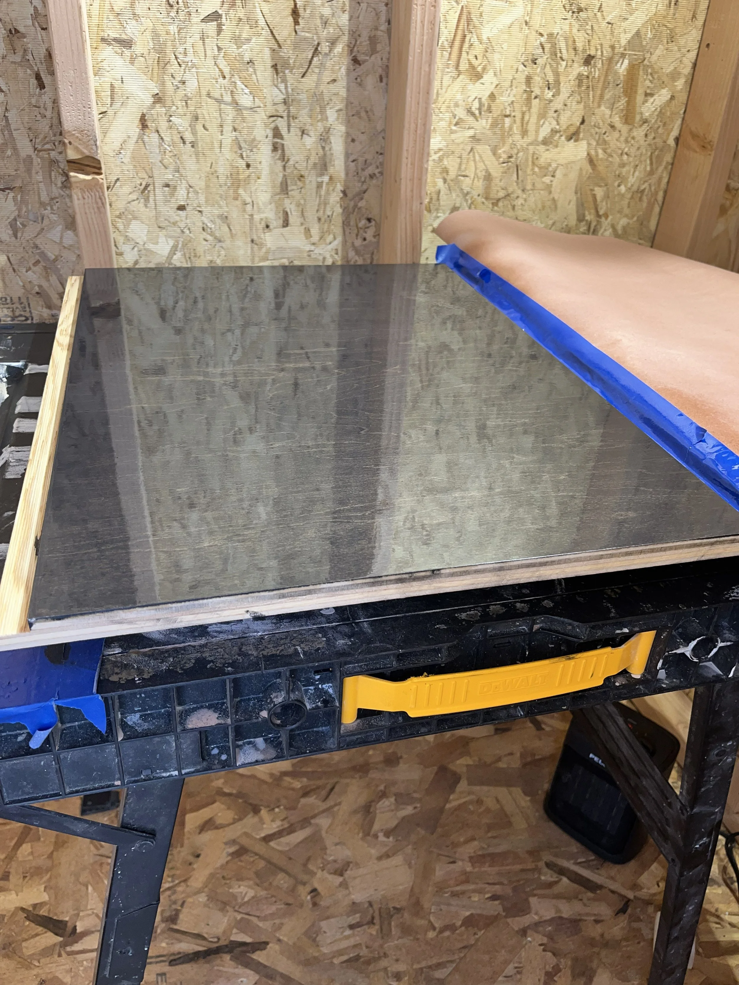 Glassy Poly in shed .jpg