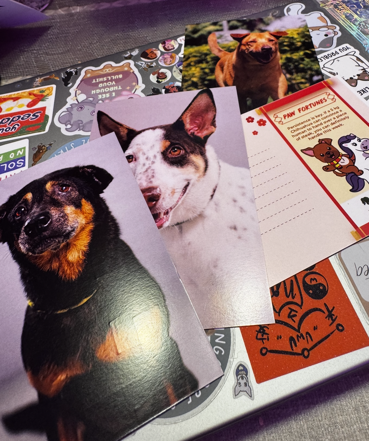 Screenshot 2026-02-19 at 12.33.43 PM.png