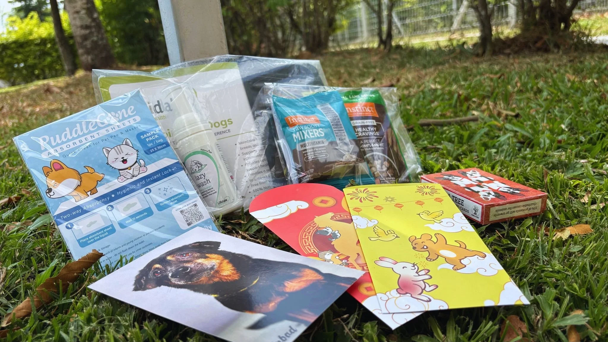 WhatsApp Image 2026-02-17 at 21.32.47 (1).jpeg