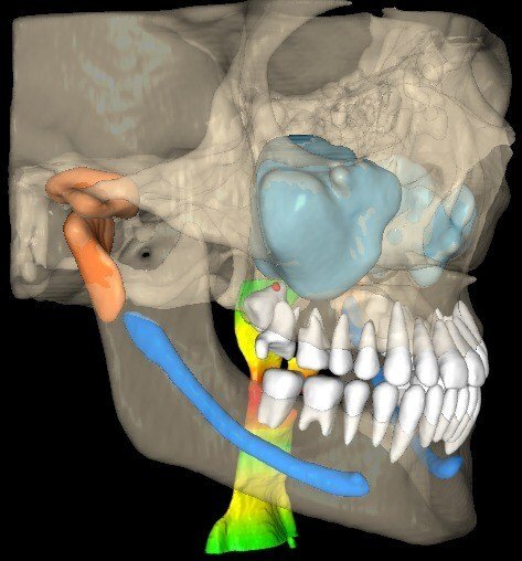 VELMENI_AI_3D_Image_3.jpg