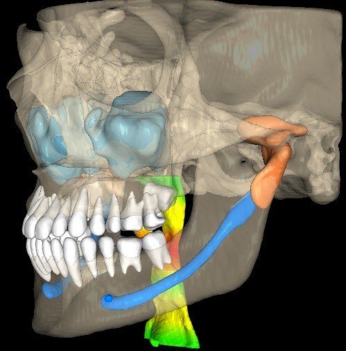 VELMENI_AI_3D_Image_2.jpg