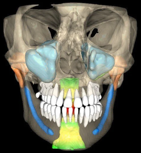 VELMENI_AI_3D_Image_1.jpg