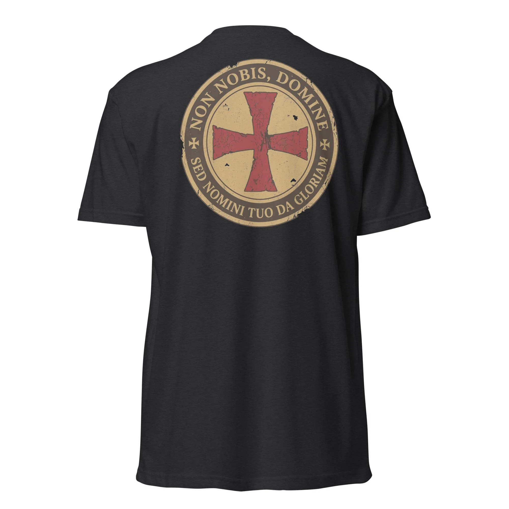 unisex-cvc-t-shirt-black-back-69e9089d61560.jpg
