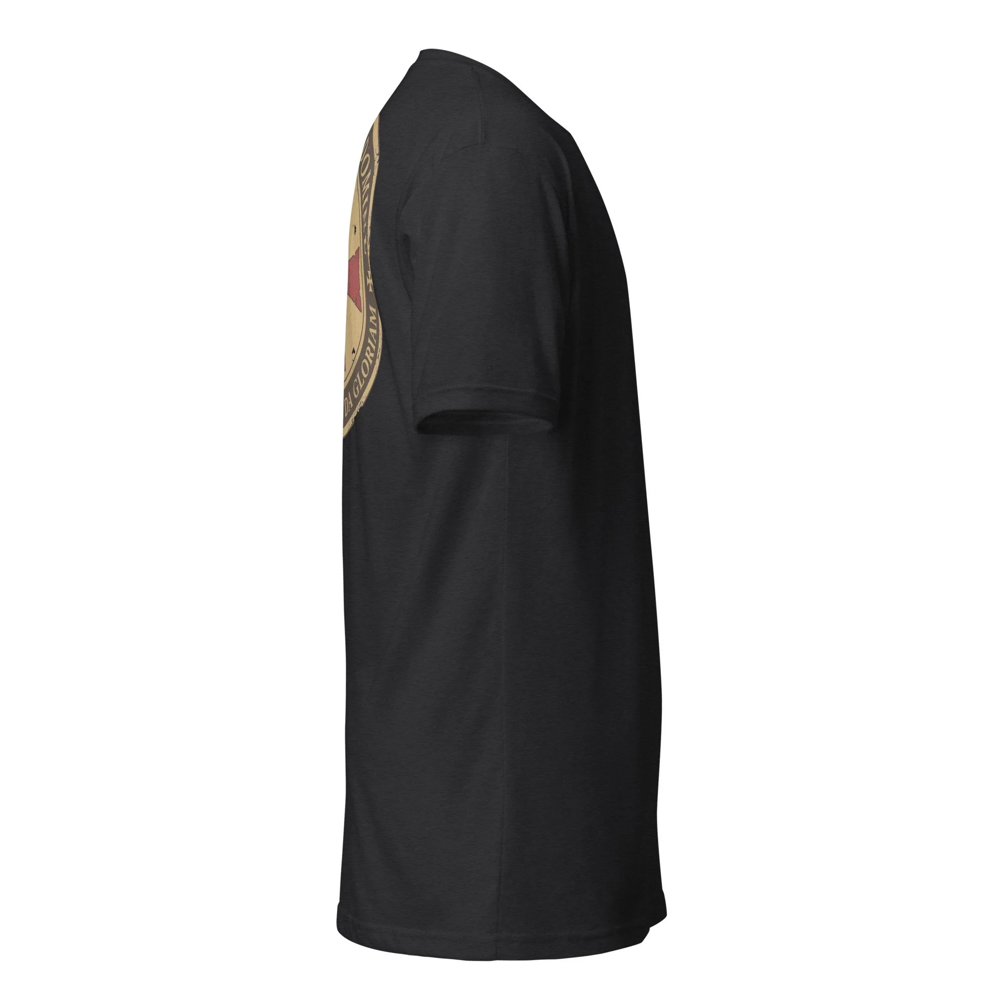 unisex-cvc-t-shirt-black-right-69e9089d60f44.jpg