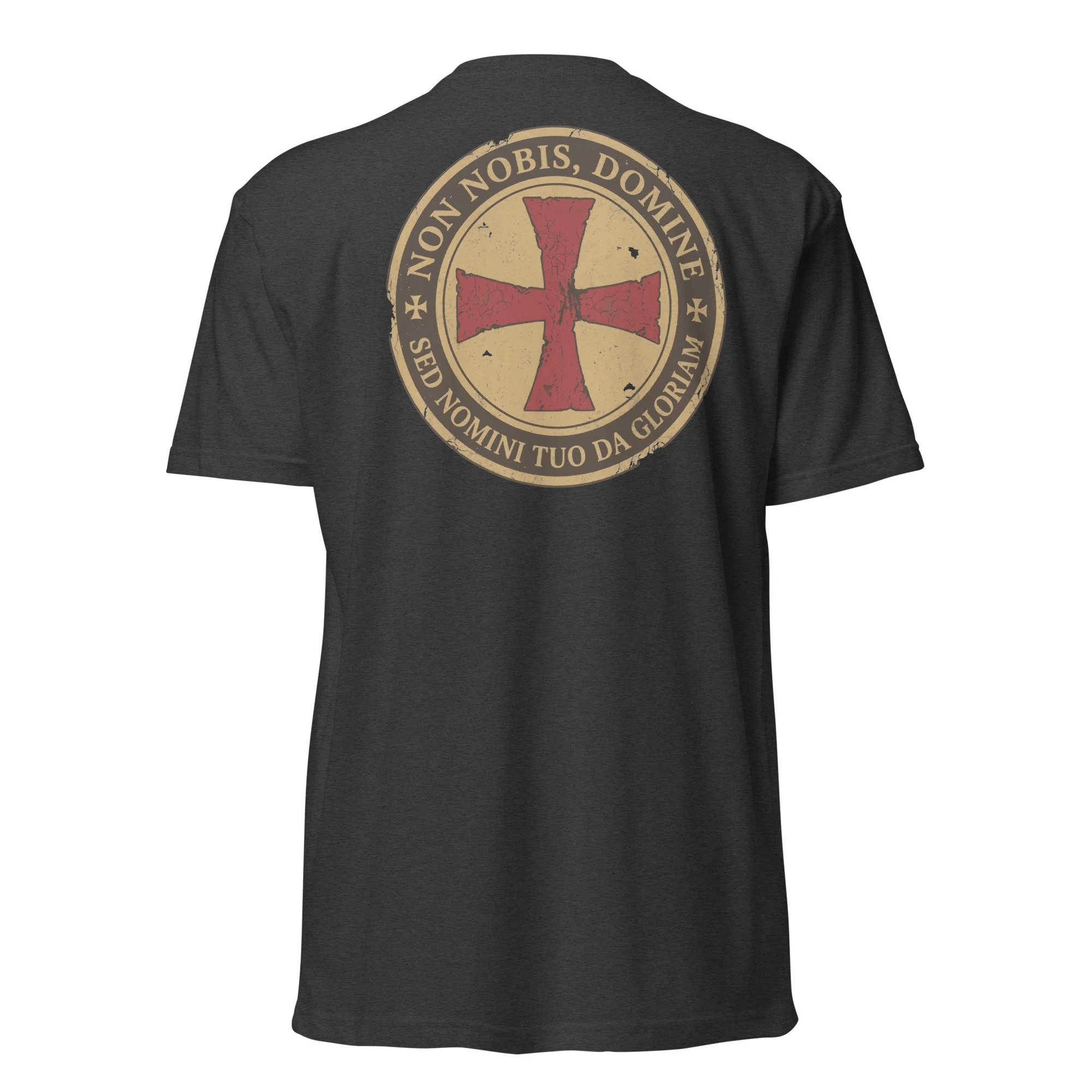unisex-cvc-t-shirt-charcoal-back-69e9089d61615.jpg