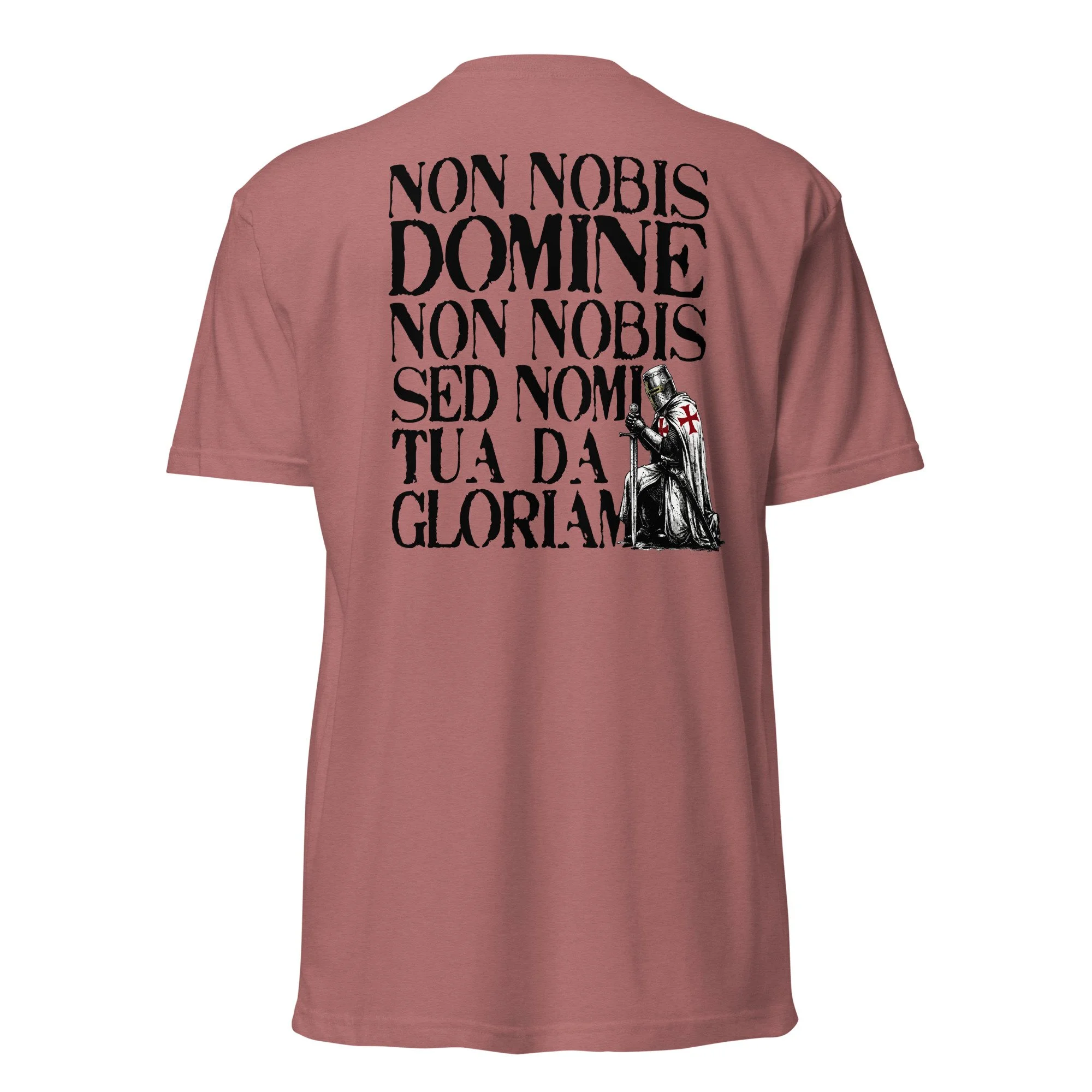unisex-cvc-t-shirt-heather-mauve-back-69e98c067c188.jpg