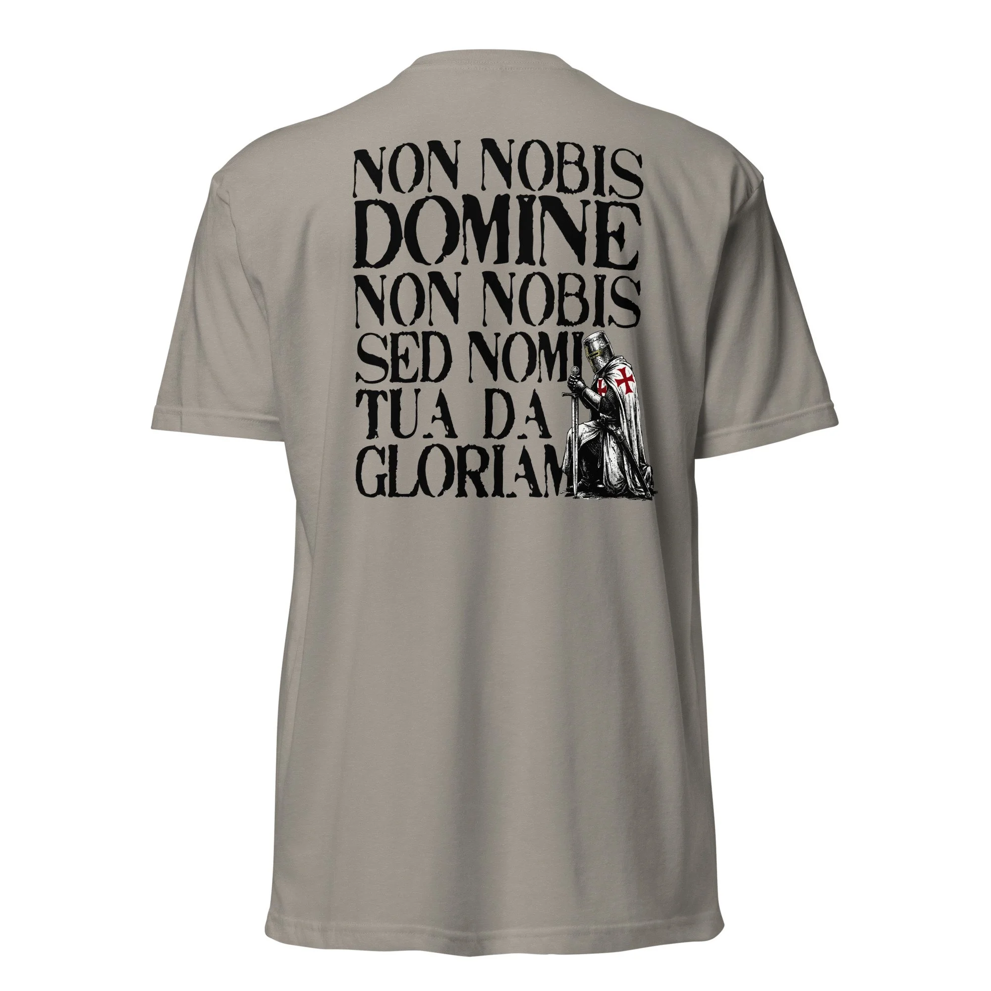 unisex-cvc-t-shirt-stone-grey-back-69e98c067c31a.jpg