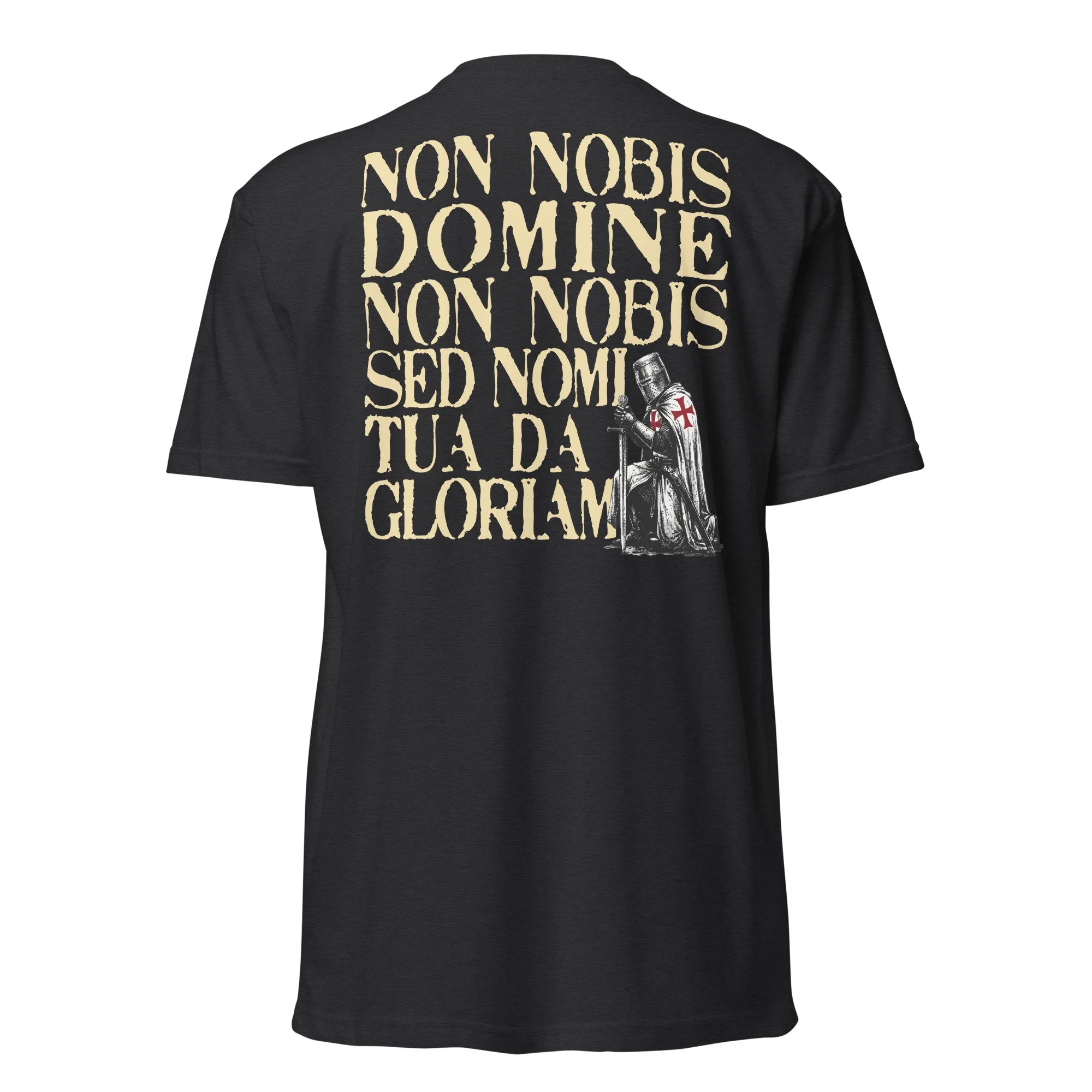 unisex-cvc-t-shirt-black-back-69e98e123fa8c.jpg