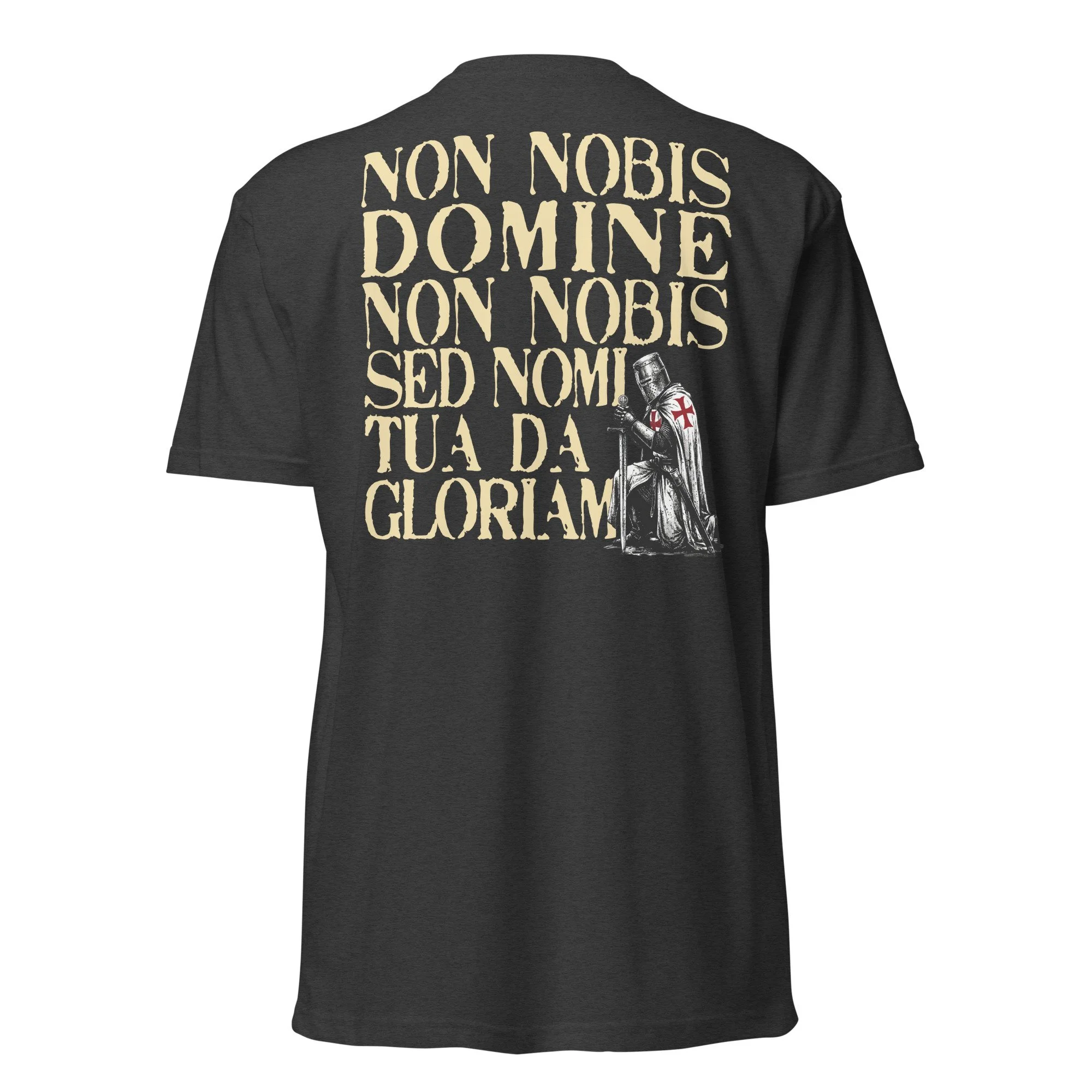 unisex-cvc-t-shirt-charcoal-back-69e98e124044e.jpg