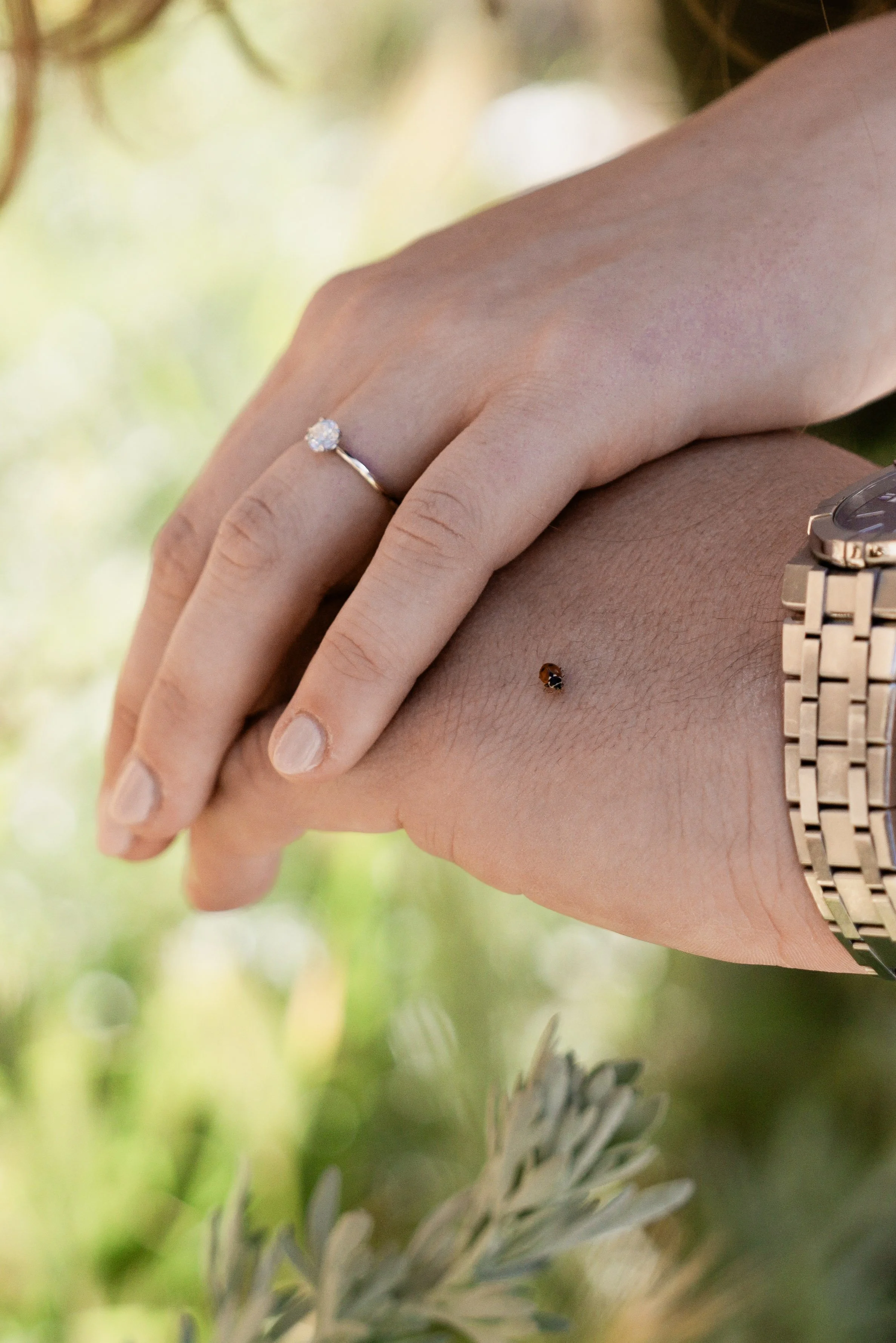 Nahaufnahme eines Händedrucks mit einem Verlobungsring und einer Armbanduhr, im Hintergrund sind grüne Blätter und ein kleiner Käfer auf der Haut sichtbar.