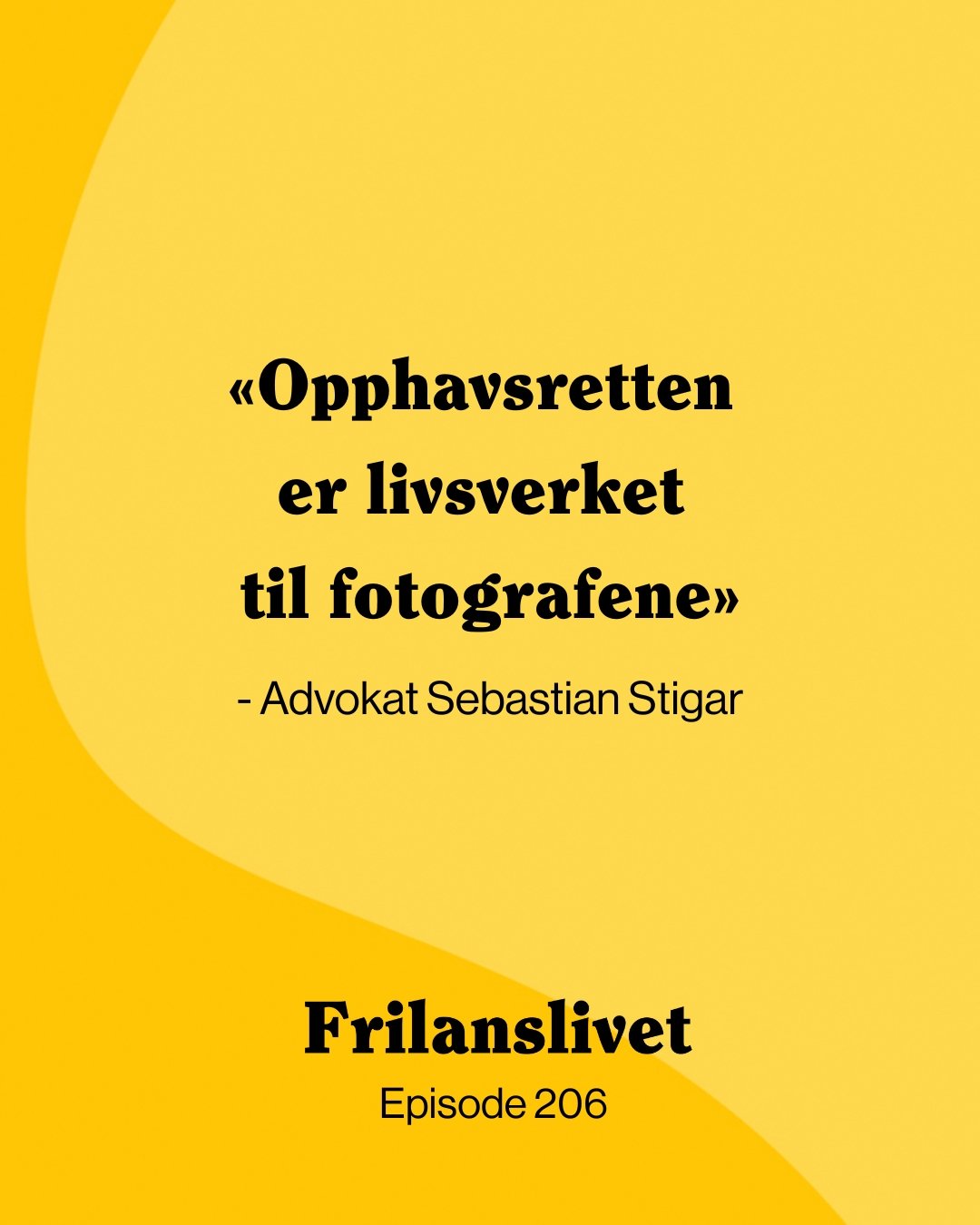 Opphavsrett for fotografer: To rettssaker som viser de vanligste fellene