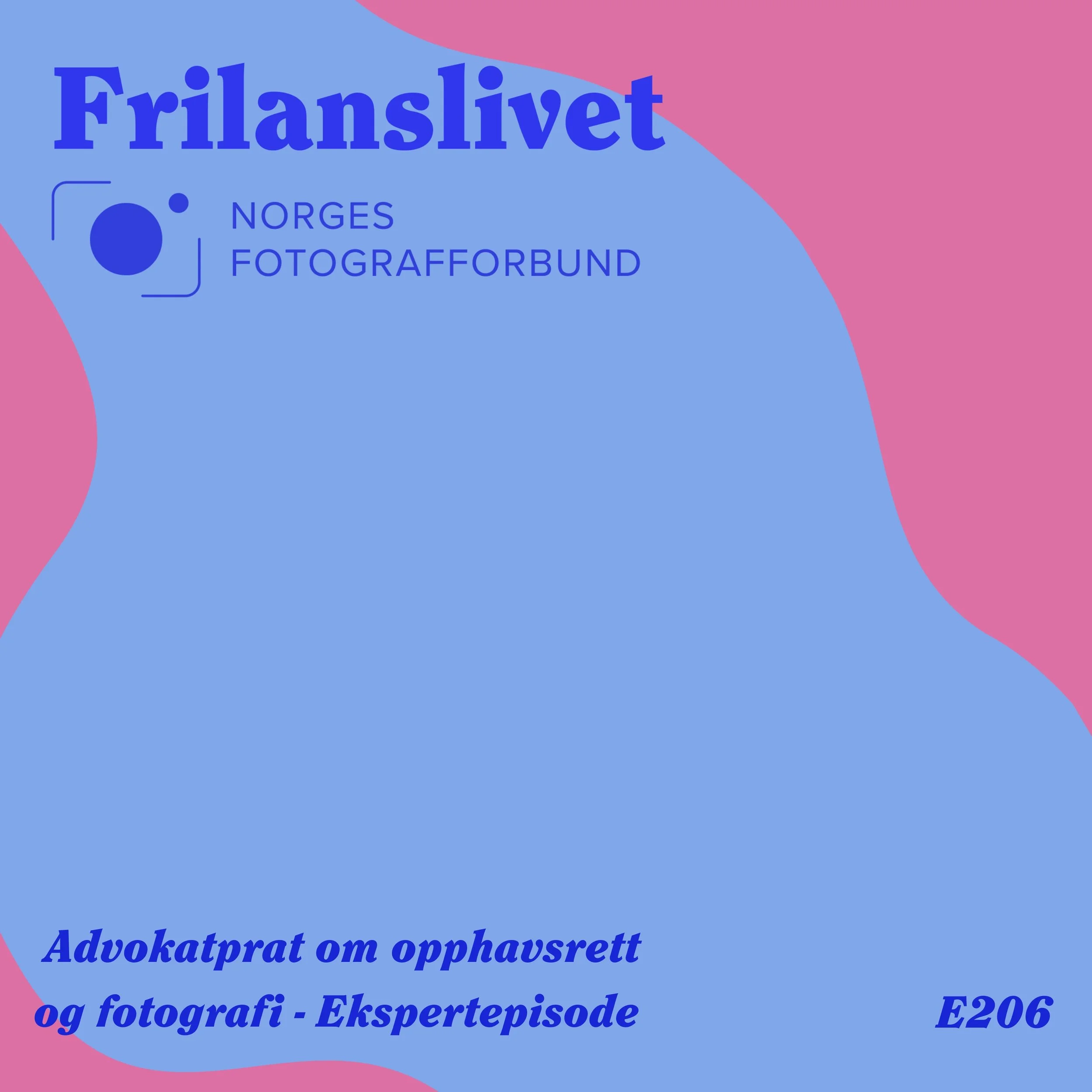 Fargedekket med teksten 'Frilanslivet' og logo for Norges Fotografforbund, samt informasjon om advokatprat om opphavsrett og fotografi, og episodekode E206.