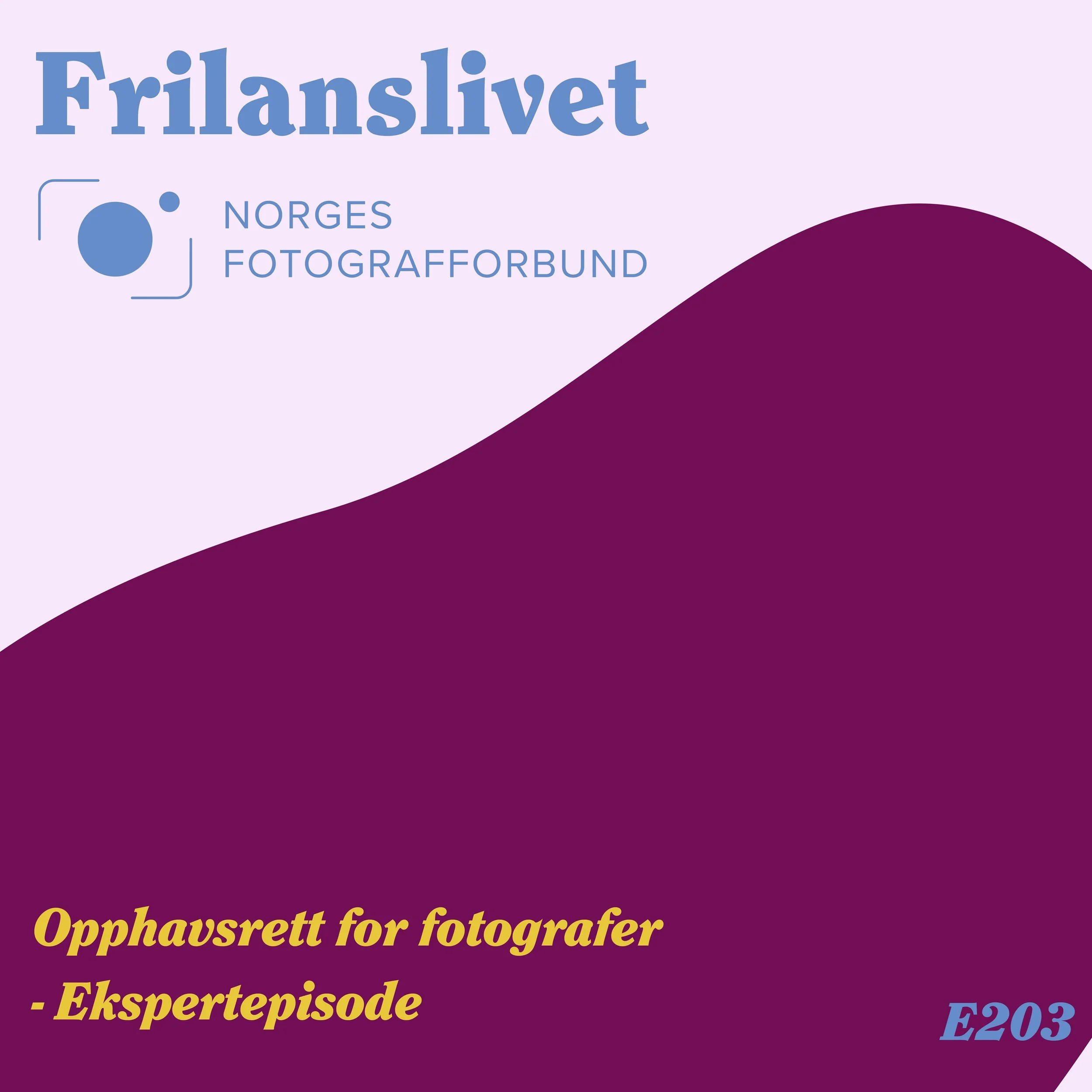 Forside av et fagblad med tittelen 'Frilanslivet' og logo for Norges Fotografforbund. Tekst i gult som sier 'Opphavsrett for fotografer og' og 'Ekspertpesiode', samt 'E203' i blått.