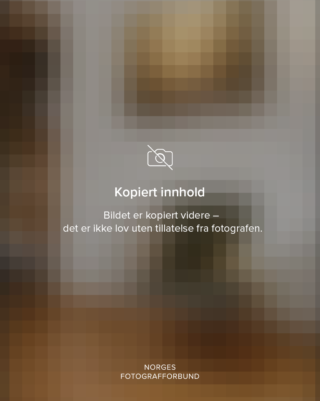 Norges Fotografforbund deler informasjon om opphavsrett for fotografer