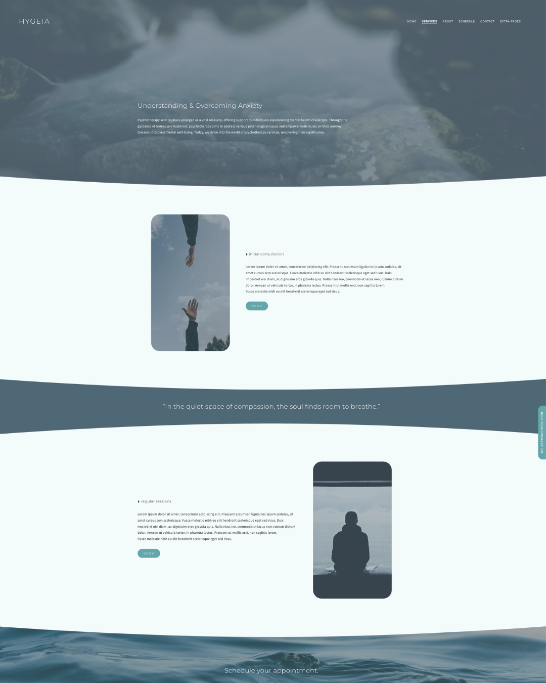 hygeia+meraki+branding+screenshot+of+Semi+custom+website+service1.png